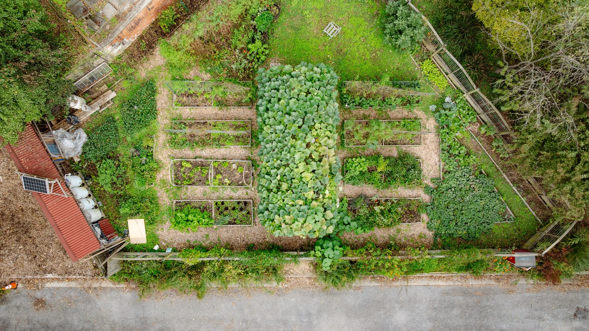 MWPT vegetable garden in spring