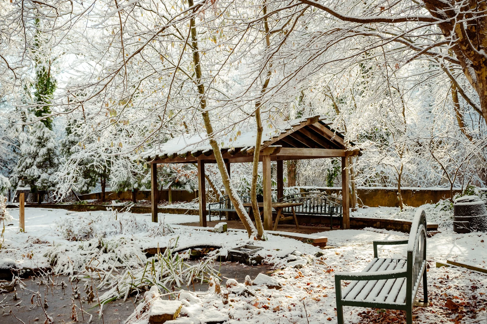 Arboretum pavilion in winter