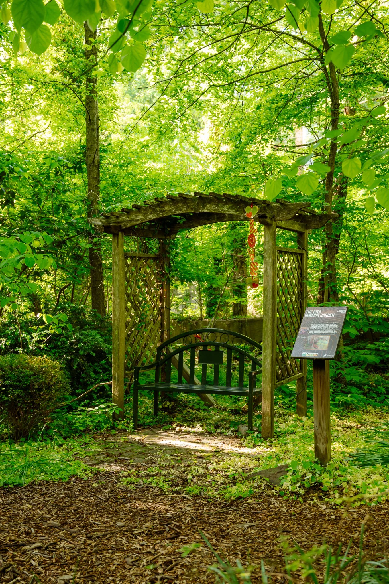 Rita Genecin Garden in spring