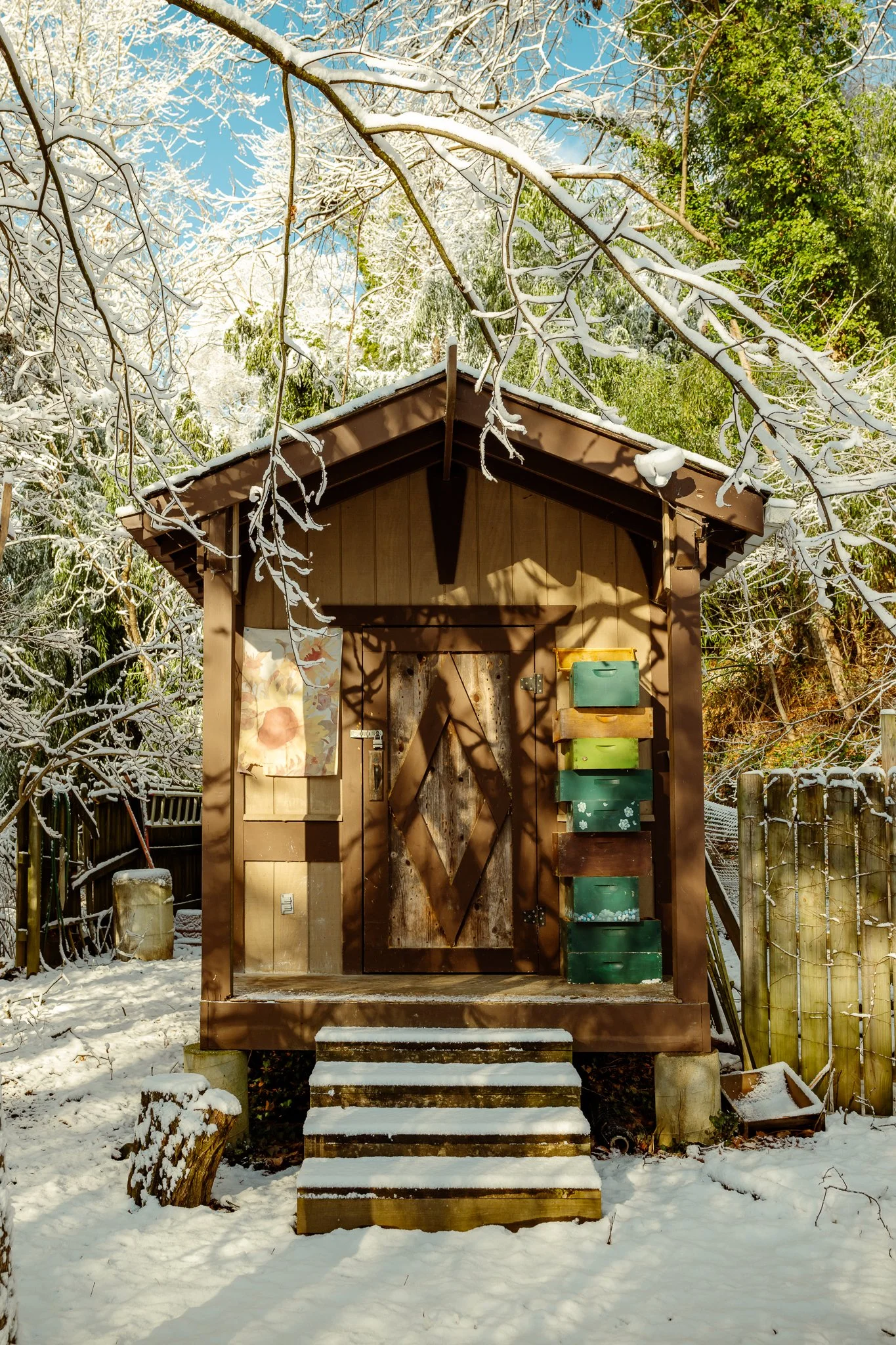 Arboretum shed in winter