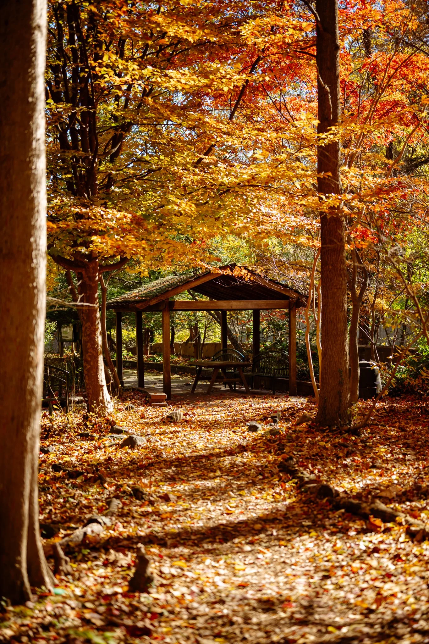 Arboretum pavilion in fall