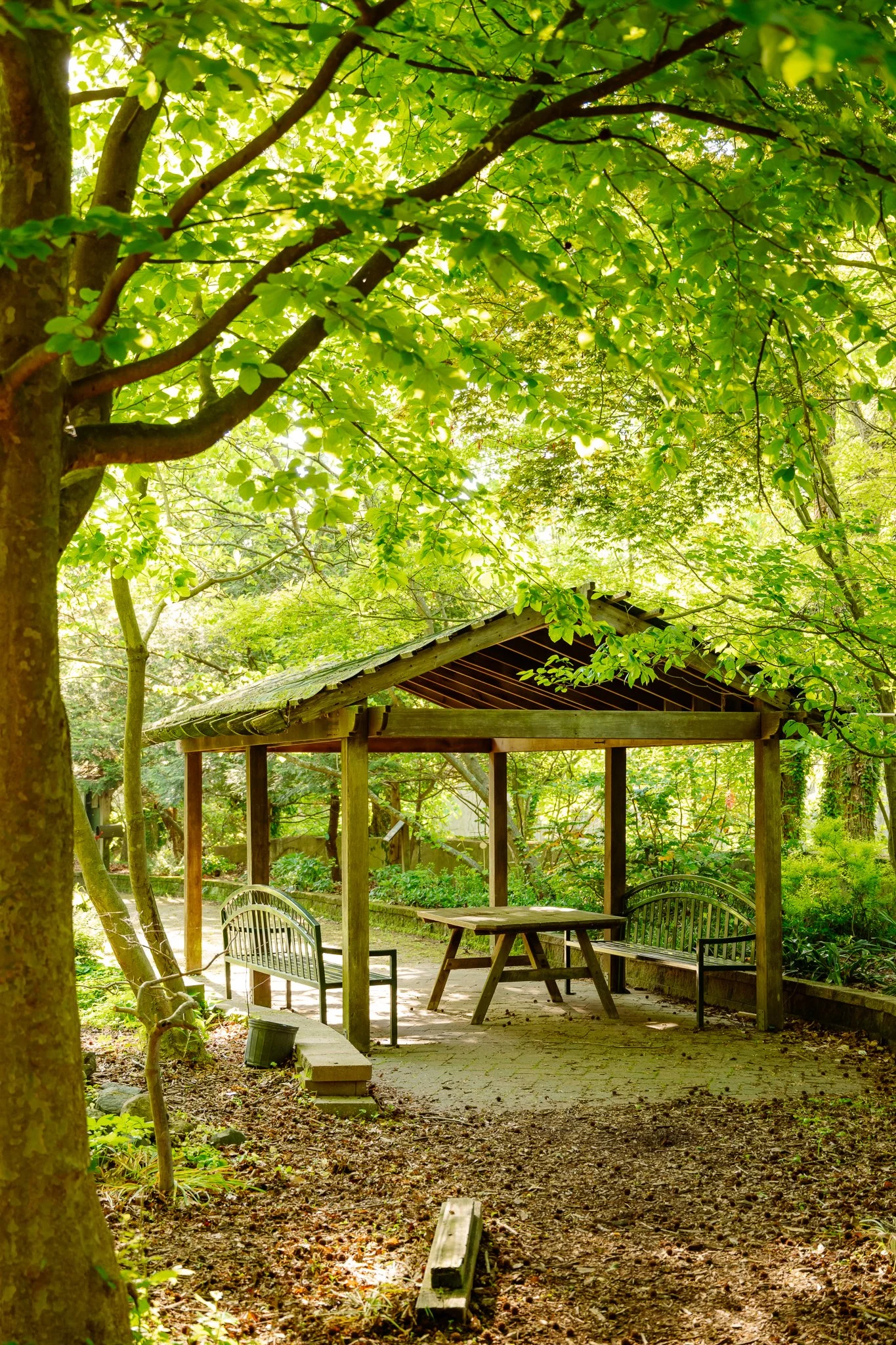 Arboretum pavilion in spring
