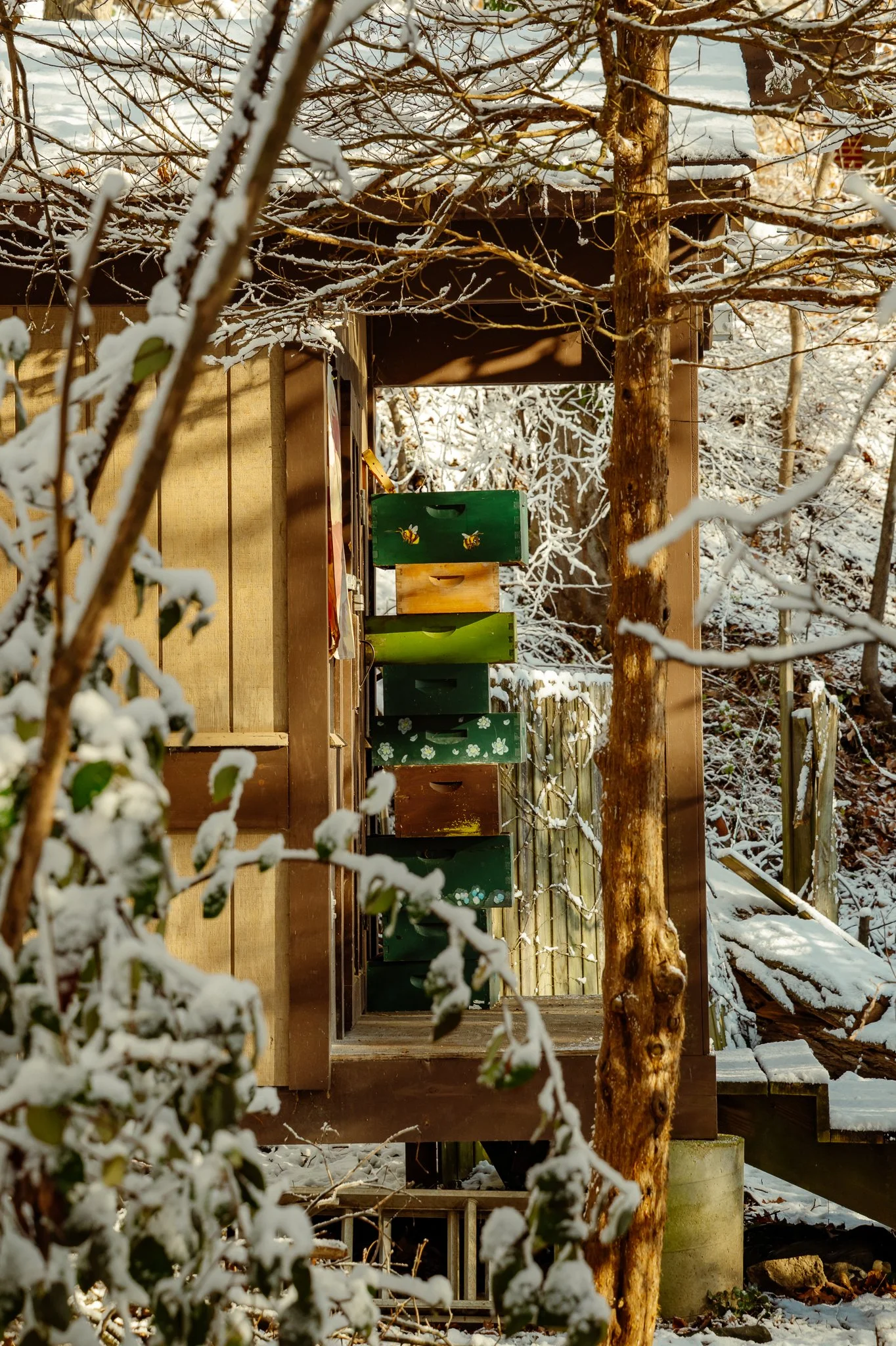 Arboretum shed in winter