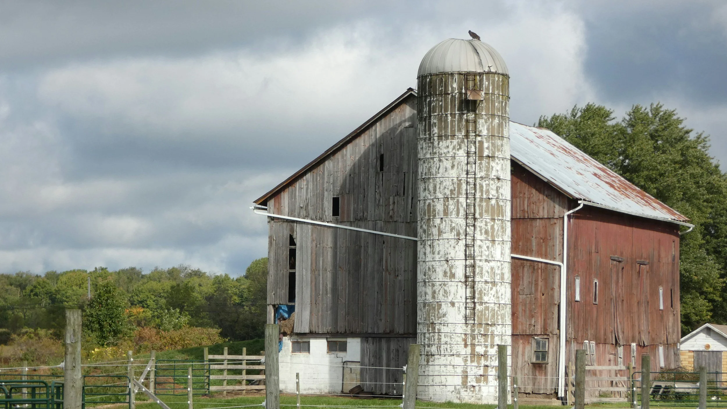 Barns or Banks