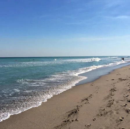 Life in South Florida.jpg