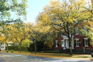 Who helps out-of-state families relocate to Princeton, NJ?