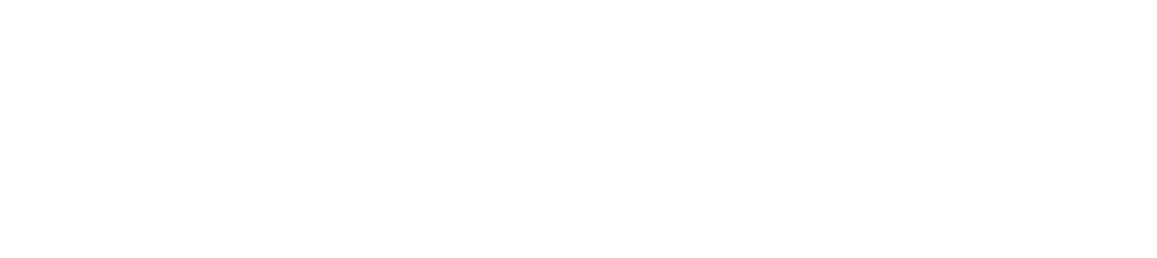 Company logo image Footer