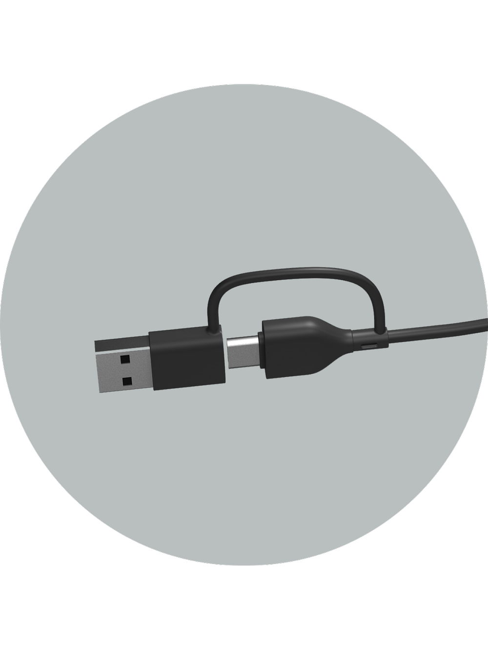 USB-C to USB-A adapter included with the CA-2110USB