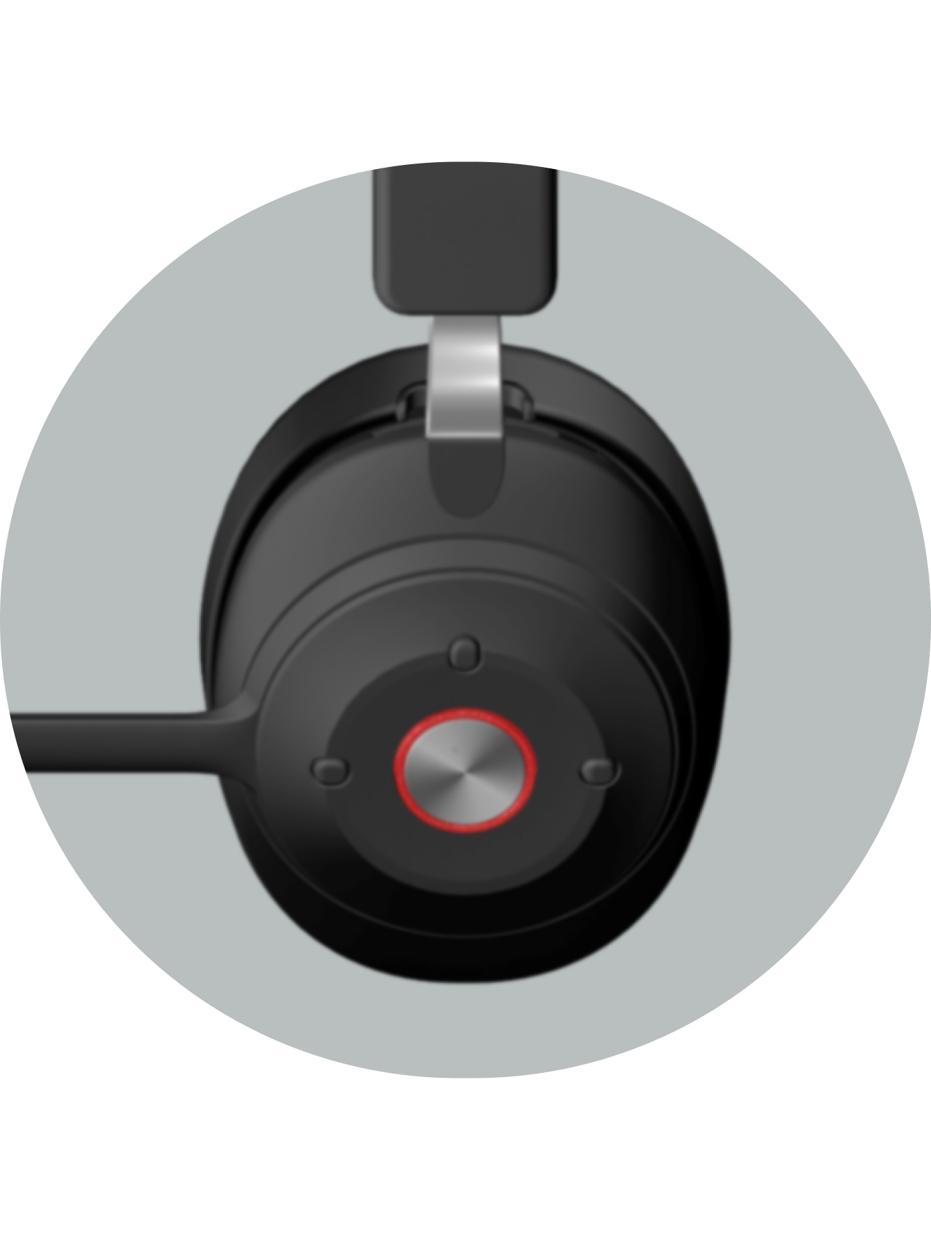 Earcup Controls