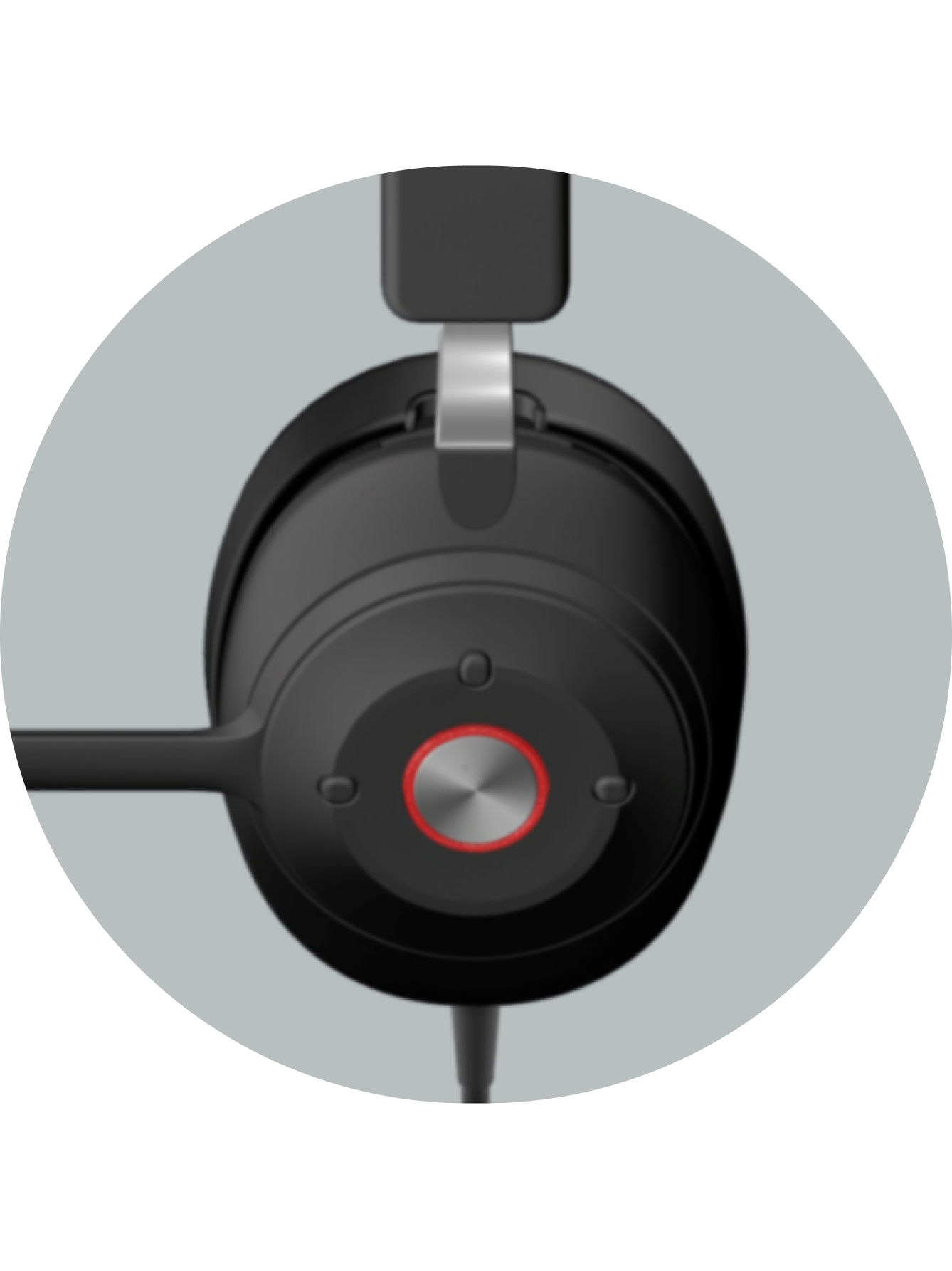 Earcup Controls