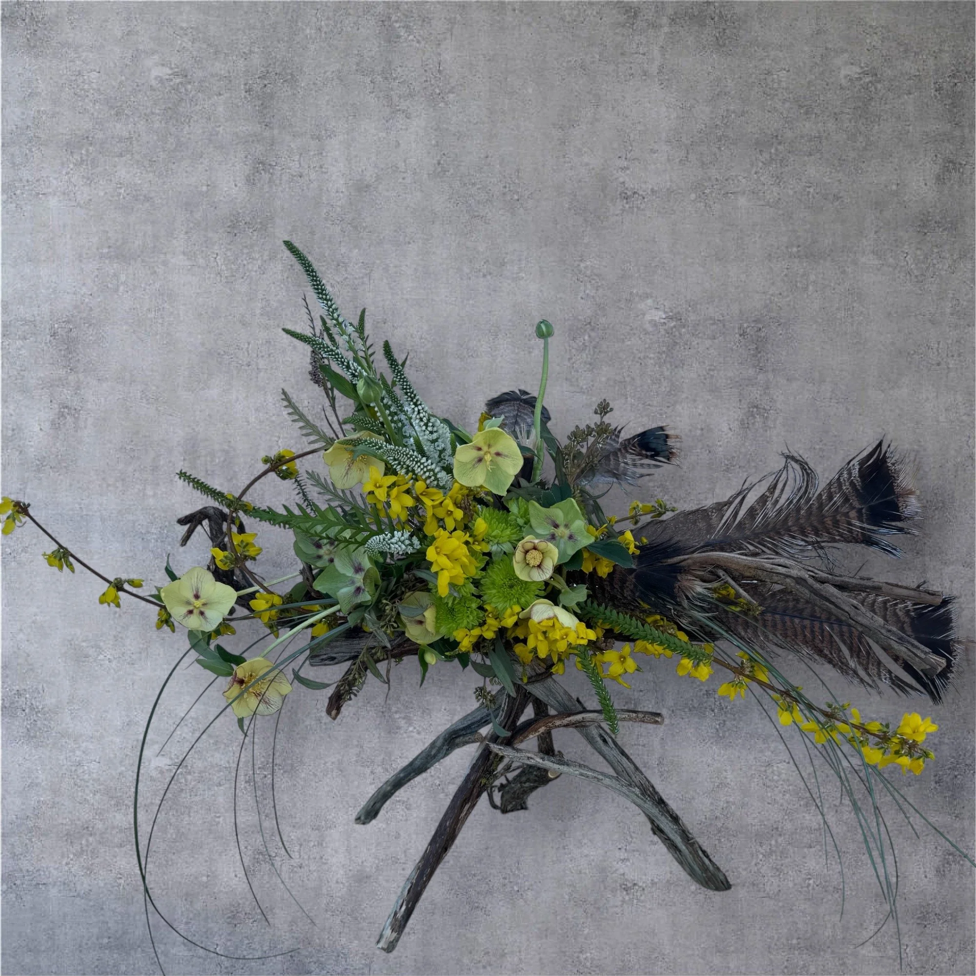 18 Georgia White.jpeg