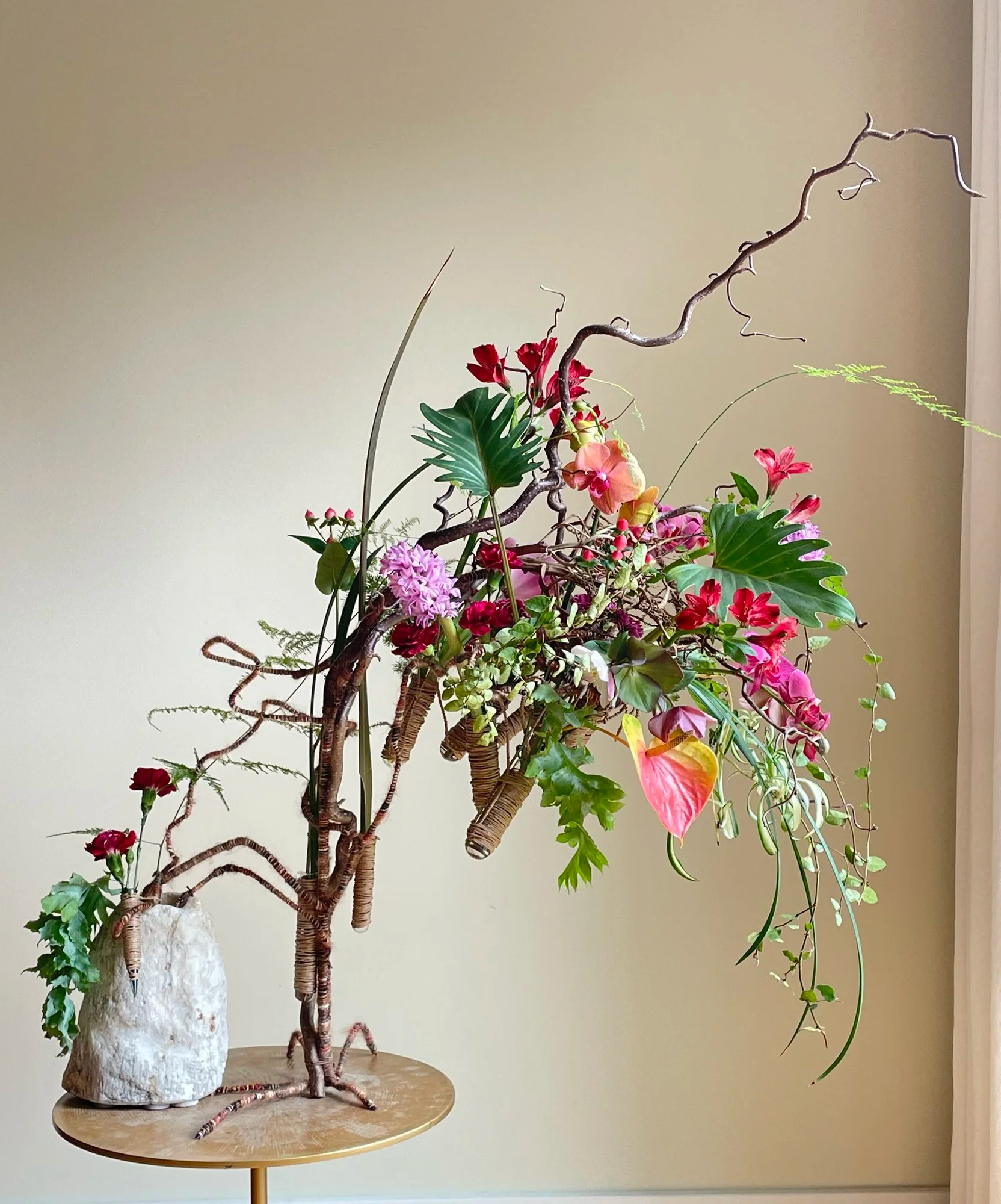 Judy Yeager Lang IMF