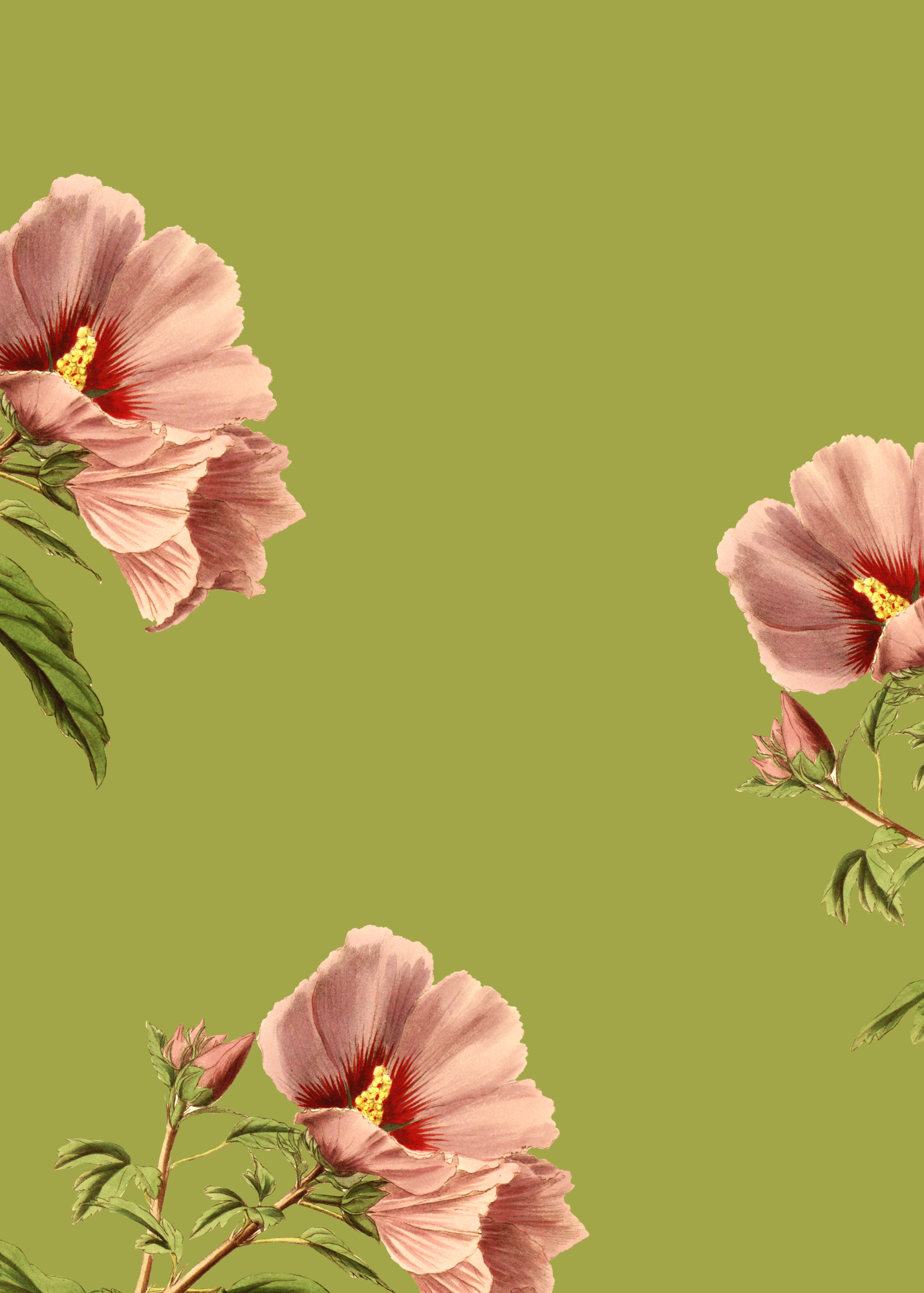 anchorage blank canva.png