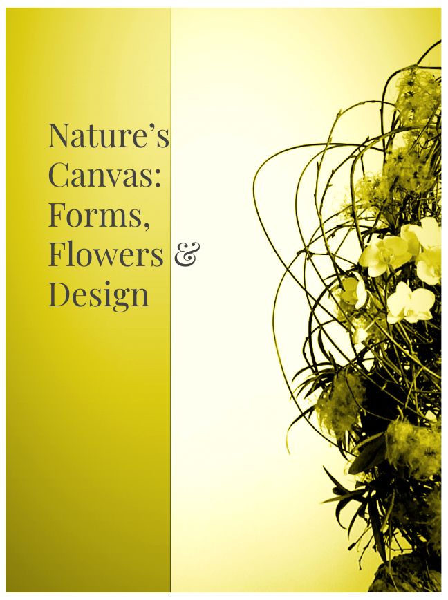 ShopImage.NaturesCanvas.png