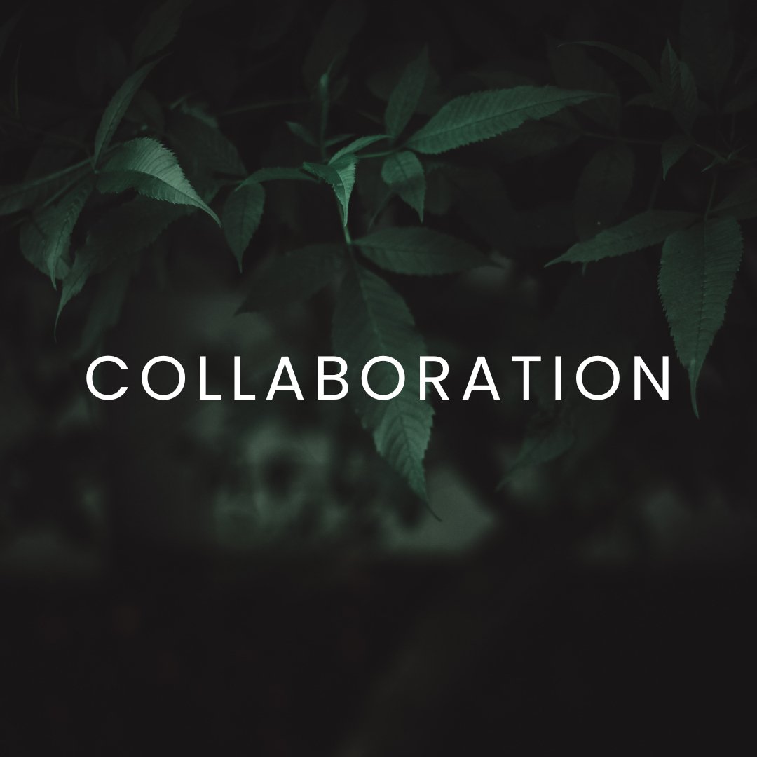 Teamwork makes the dream work! Over the years, we've partnered with incredible companies to drive success in everything we do. With our trusted allies by our side, we ensure flawless delivery every time. ⁠
⁠
Ready to elevate your business together? L