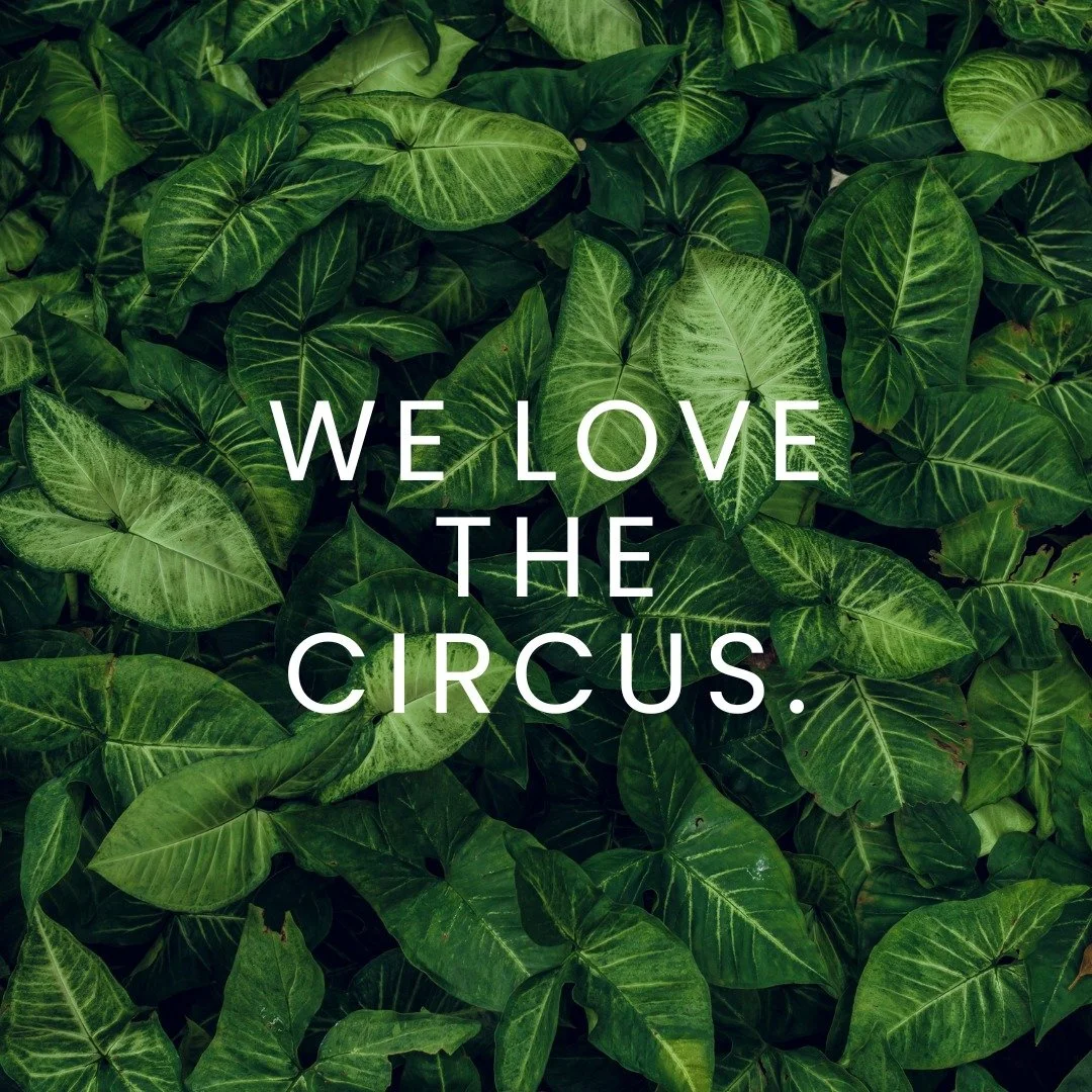 We are a collective of event producers and experts passionate about making your vision come to life and effectively sharing your story. Whether you need full event planning, production, staffing solutions, touring support, permitting, we are here to