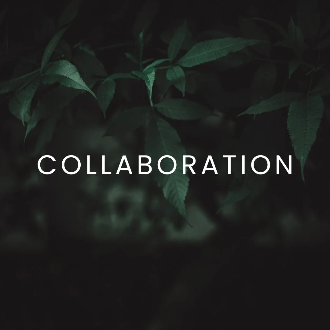 Collaboration. It is the start and the heart of each project. From the initial brief to the finished product. We are your expert partner to produce events, activations and tours in Australia. 💗
#events #Australia #teamwork