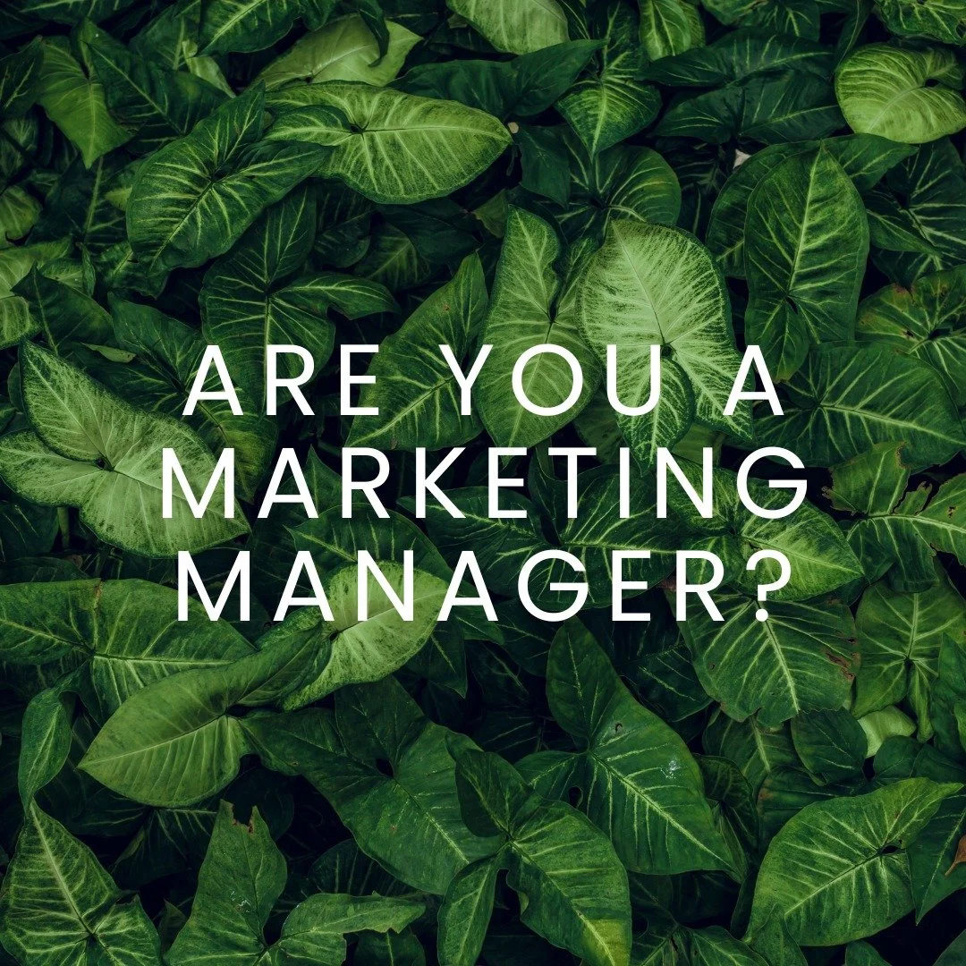 Are you a marketing manager? Do you have a space to activate to support your business and elevate the guest experience? We are here for you! We can guide you in building the most engaging, generous campaign to keep your audience coming back and telli