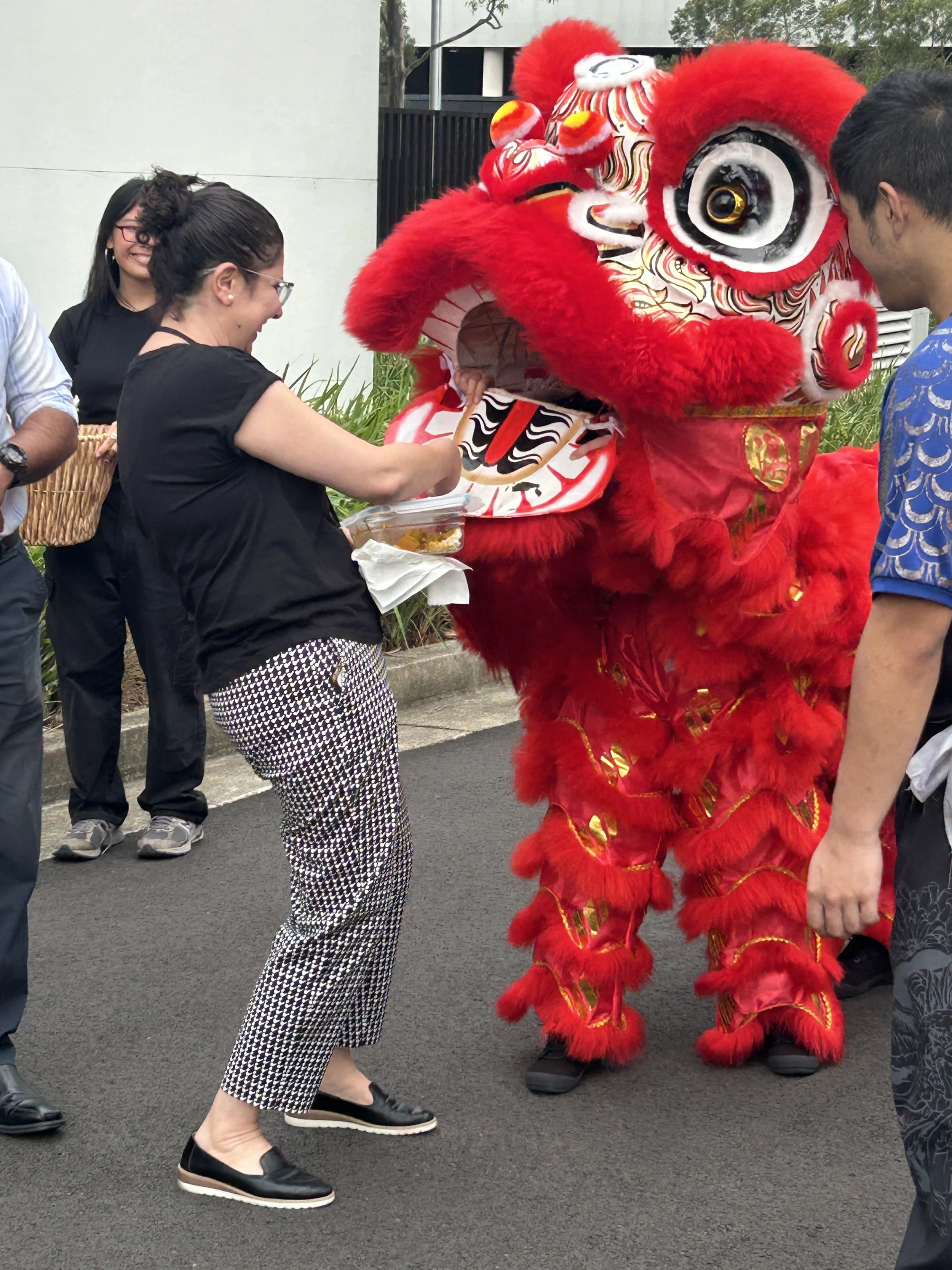People participating in a traditional Chinese lion dance, with a red lion costume and a person feeding the lion