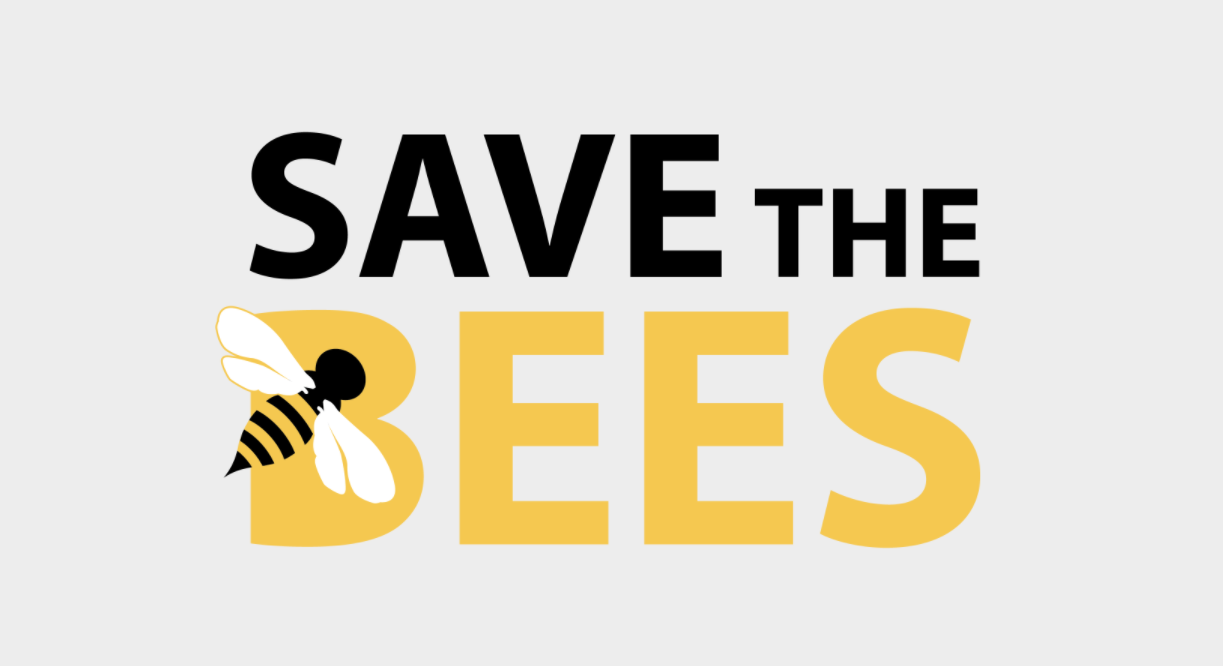 Alumni Action Alert: Why we still need to save the bees