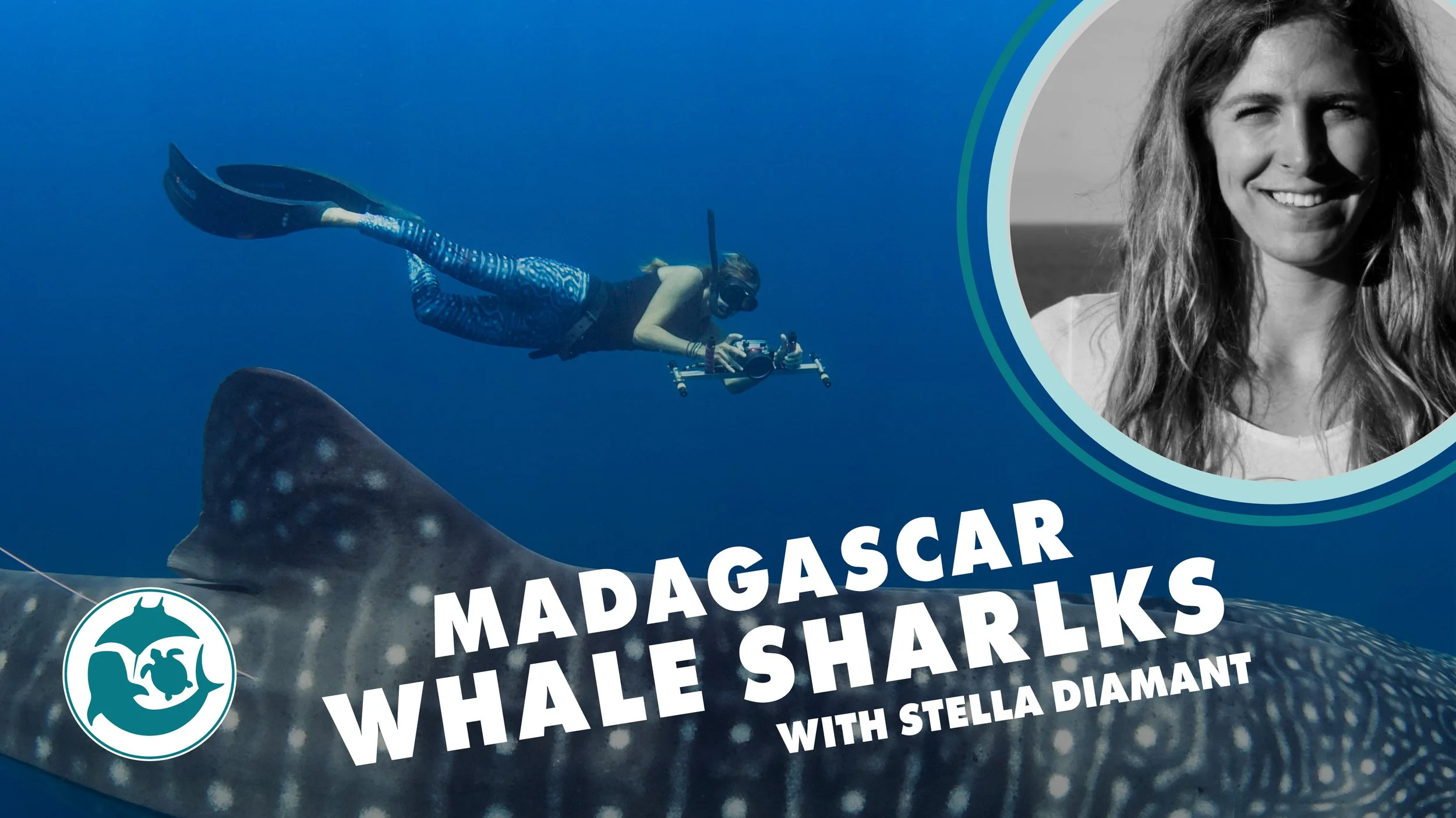 JANUARY: Whale Sharks in Madagascar with Stella Diamant
