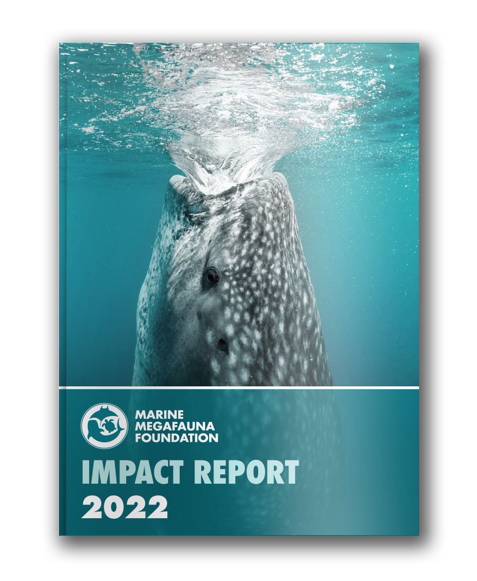 Whale Shark Reproduction — Marine Megafauna Foundation