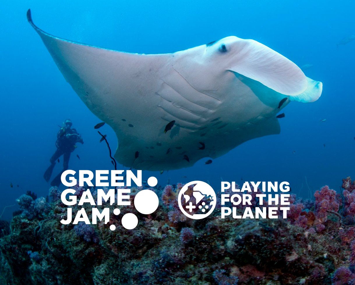 Latest News — Marine Megafauna Foundation
