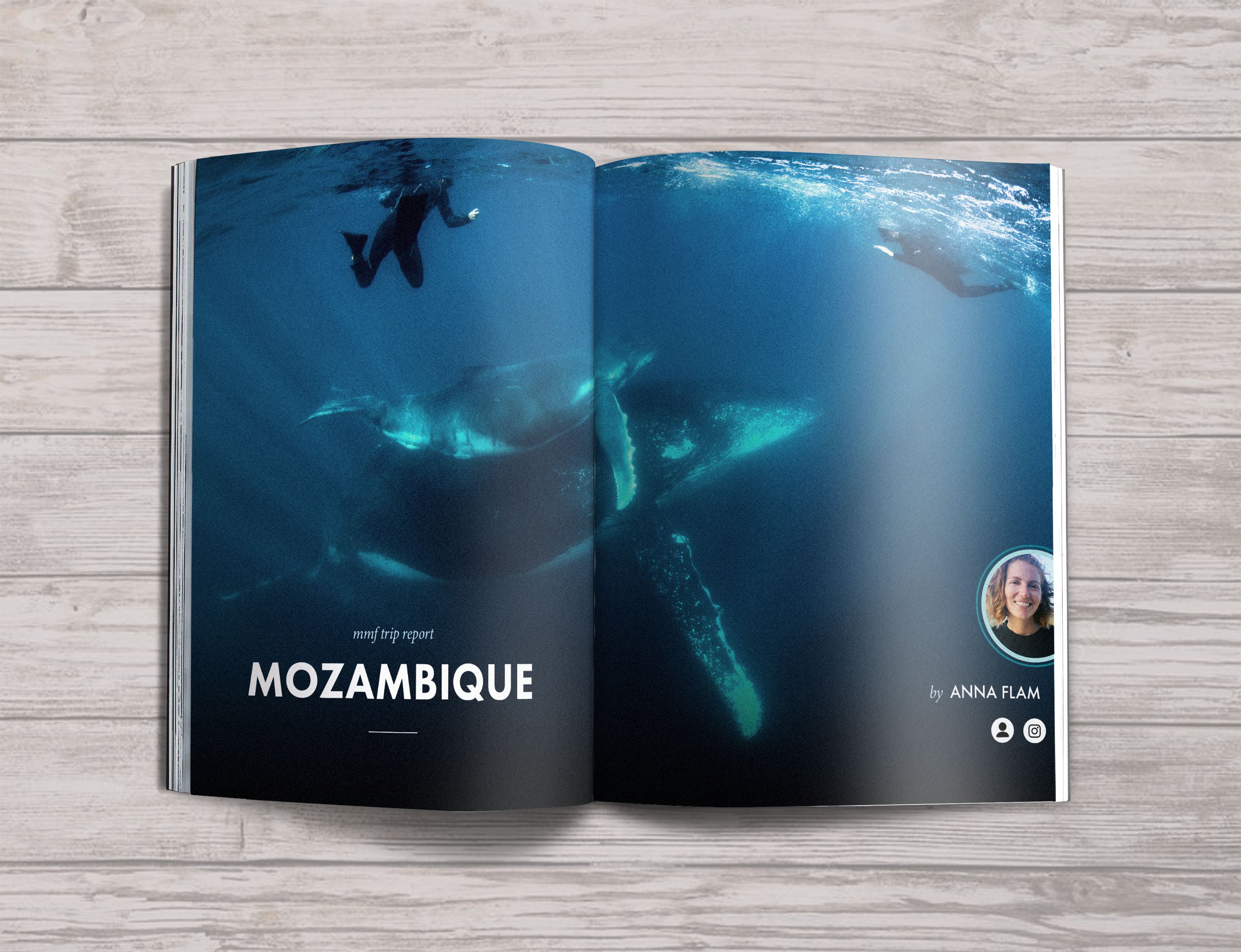 ISSUE-07-Mockups-Moz-covers.jpg