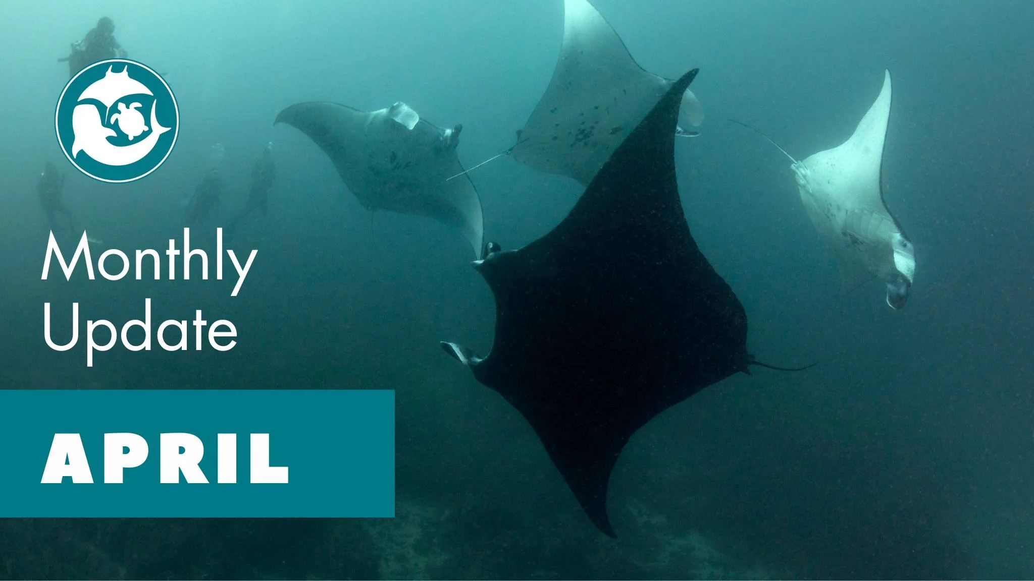 Monthly Update for April