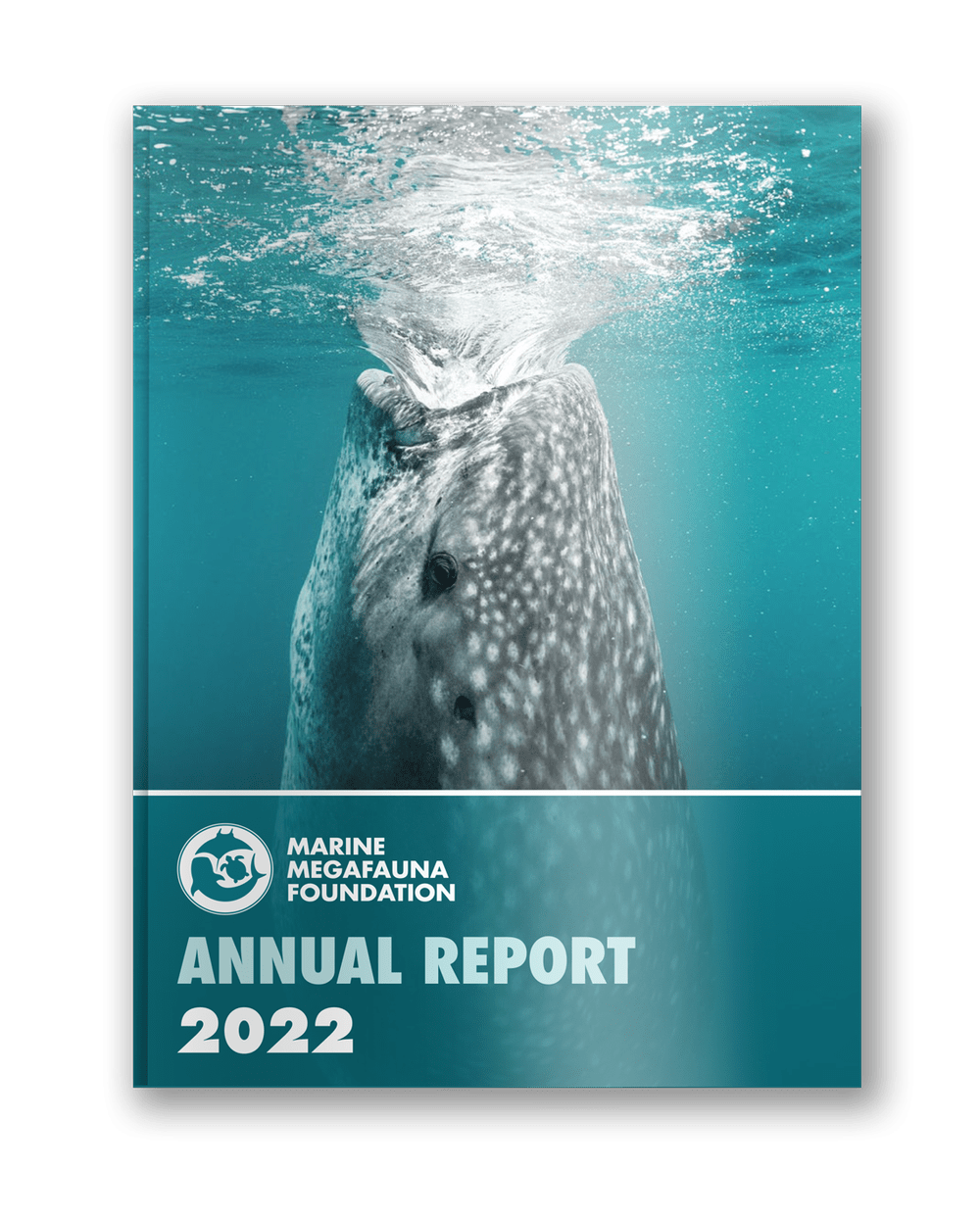 Marine Megafauna Foundation