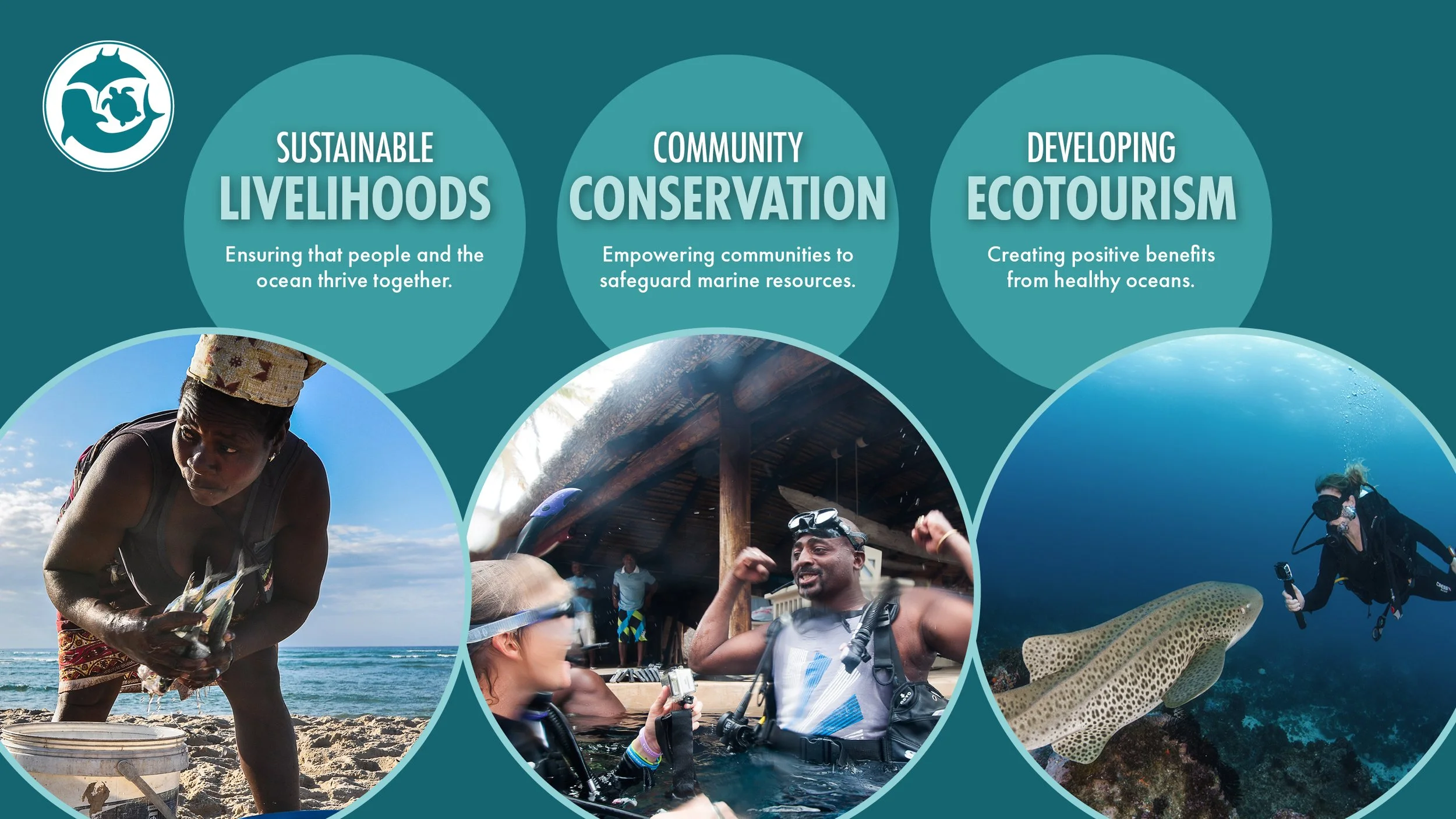 Our Strategy — Marine Megafauna Foundation
