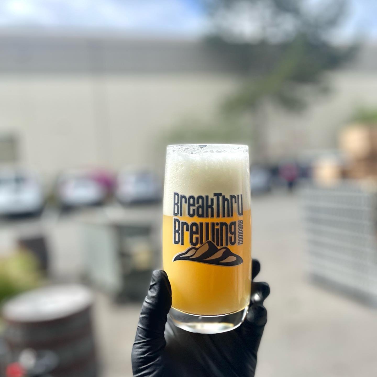 🚨Details for today&rsquo;s on-site release🚨 

📍 Stoup Brewing Ballard 
1108 NW 52nd St
Seattle, WA 98107

12pm doors open, limit ONE CASE PER PERSON PER BEER

Stoup has also been generous enough to allow on site consumption of these new BreakThru 