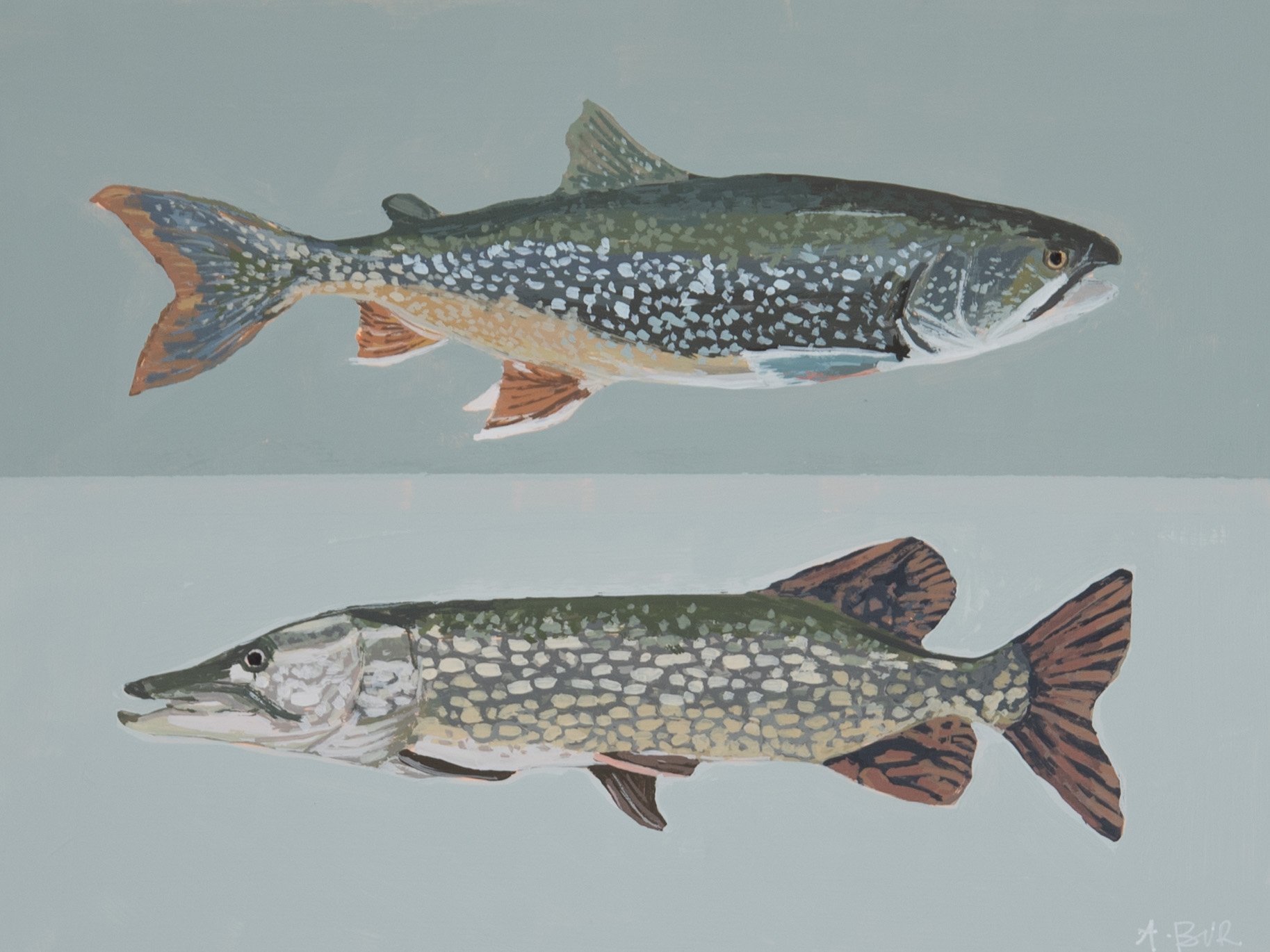 Great Lakes Fish.jpg