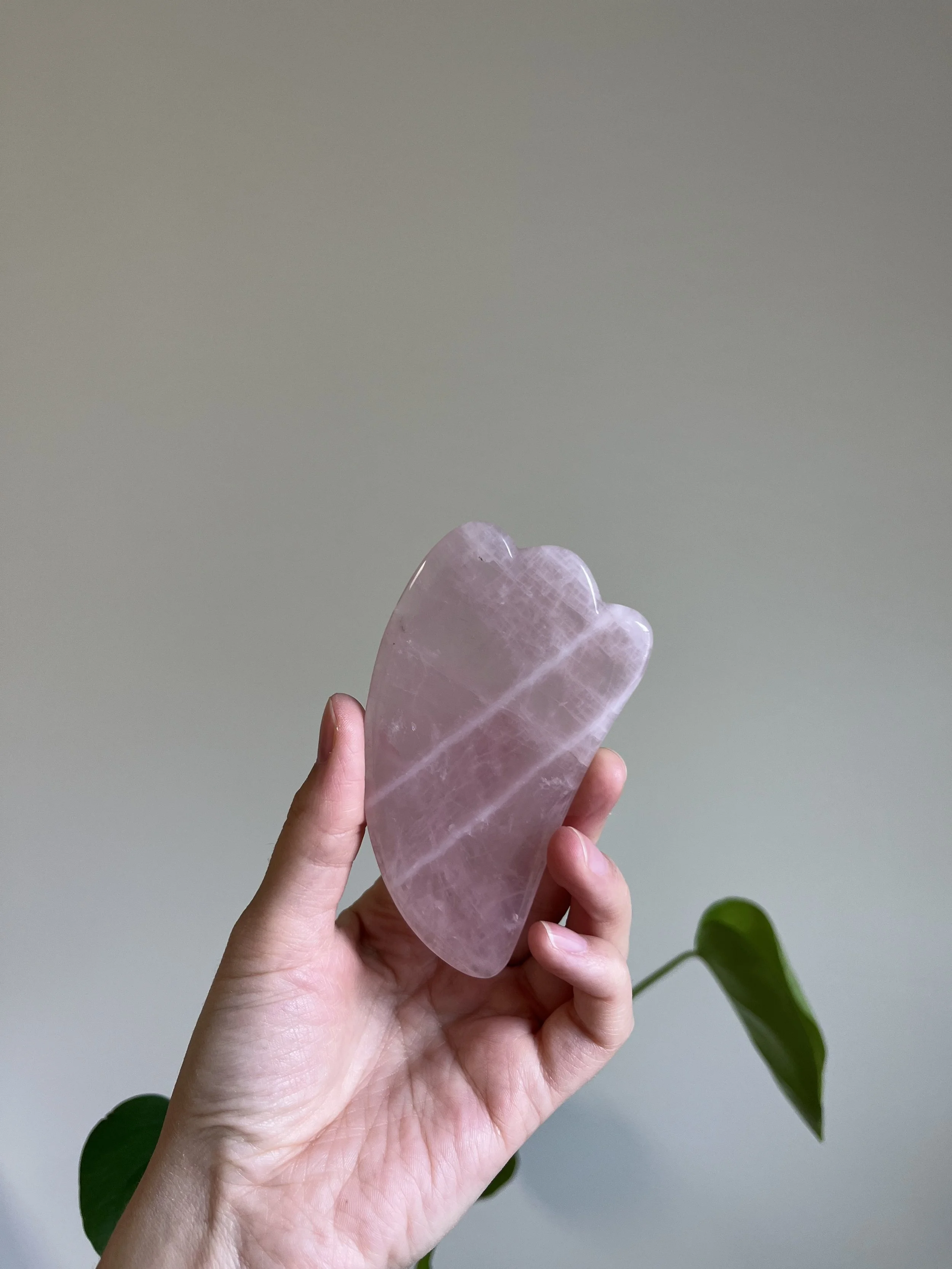 Rose Quartz Gua Sha
