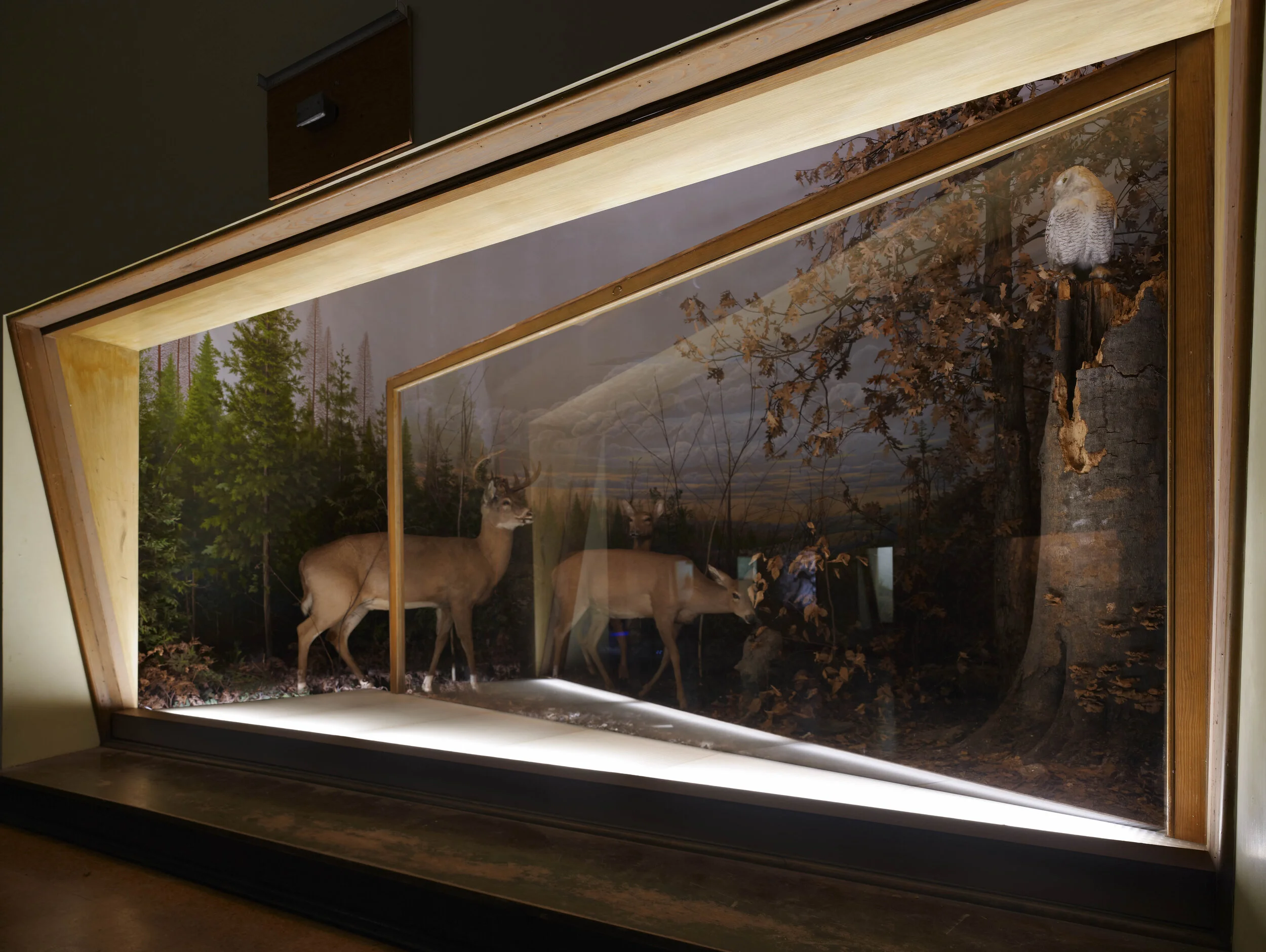 Redefining Habitats: a juxtaposition between nature and design
Alois Kronschlaeger combines constructed natural environments with modern architecture in Habitat, by Laurel Green, 2012. Photo by Marc Lins