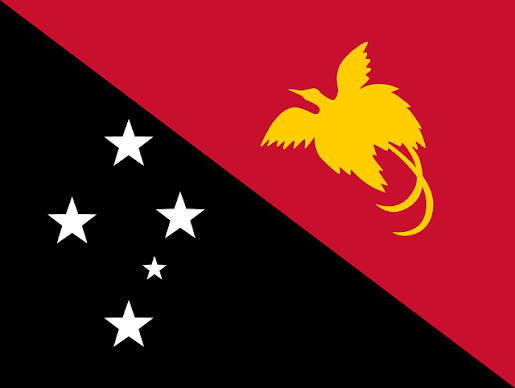 Covid-19 After Action Review - PNG