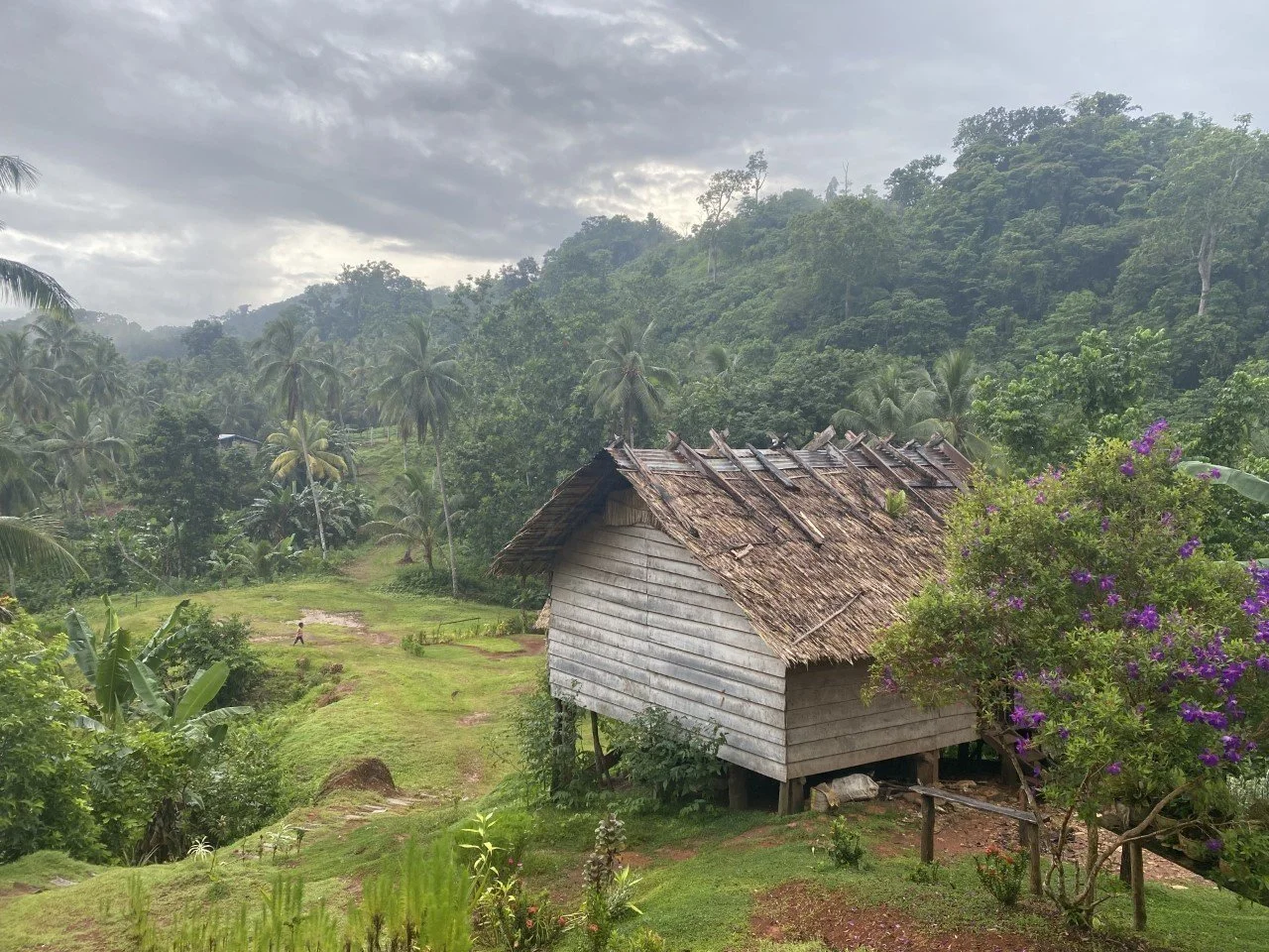 Solomon Islands Field Epidemiology Training Program (Sols FETP)