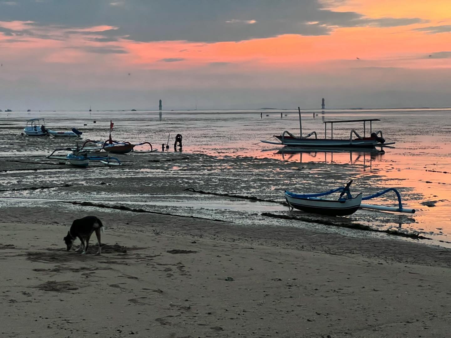 If you&rsquo;ve never done it before, Sanur has one of Bali&rsquo;s best sunrises, a fiery pink ball that kisses the beach purple &amp; orange &amp; makes silhouettes of wooden reef boats and roaming dogs.

Best viewing locale is from Pantai Bopel ne