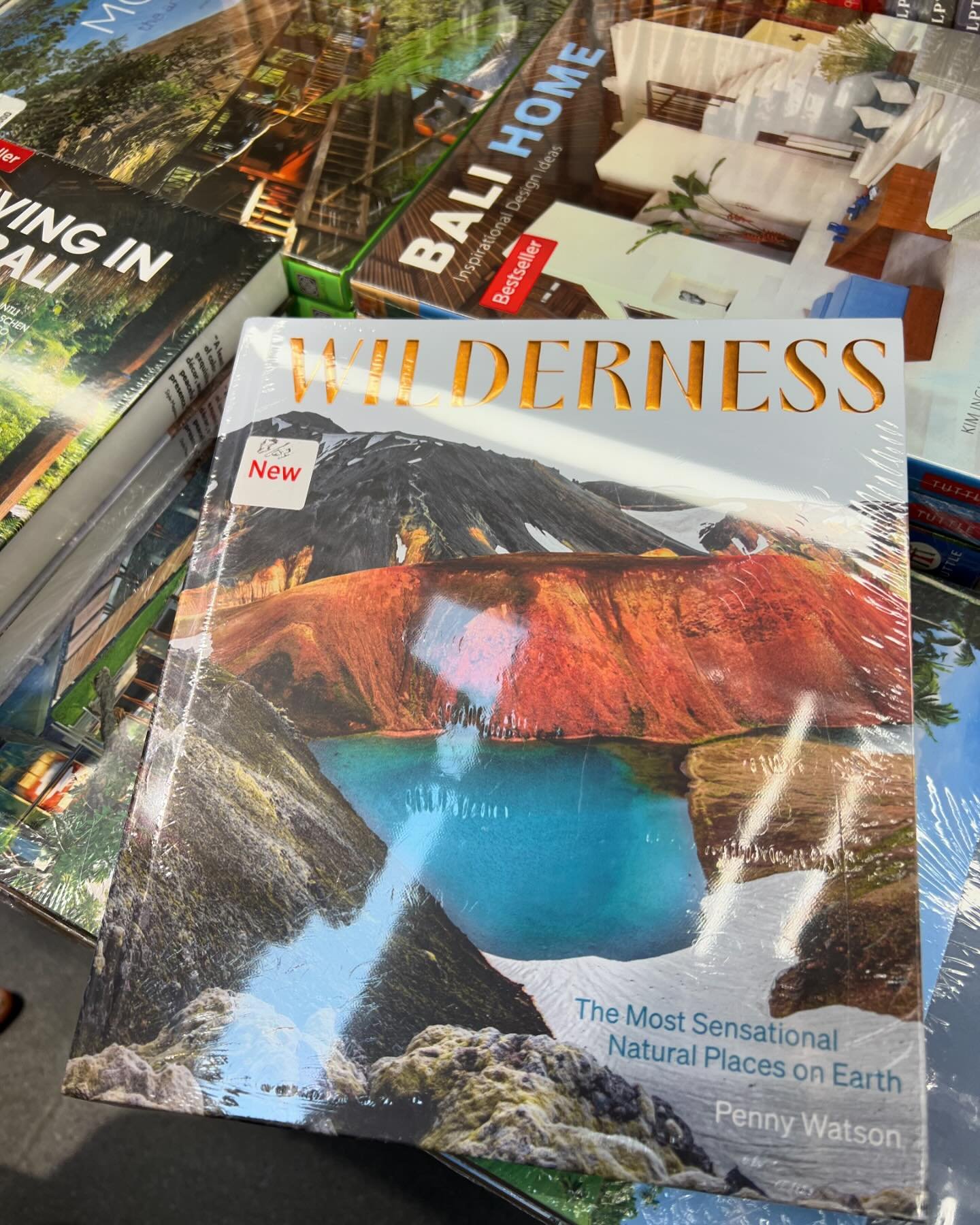 My Wilderness book, spotted in Periplus Bali&rsquo;s new Berawa store. Didn&rsquo;t know it had reached the island. 😁😁😁 👏 👏 👏 

Thanks for stocking @periplus.bali @periplus.canggu.

#travelbooks #wilderness #wildernessbooks #wildernessadventure
