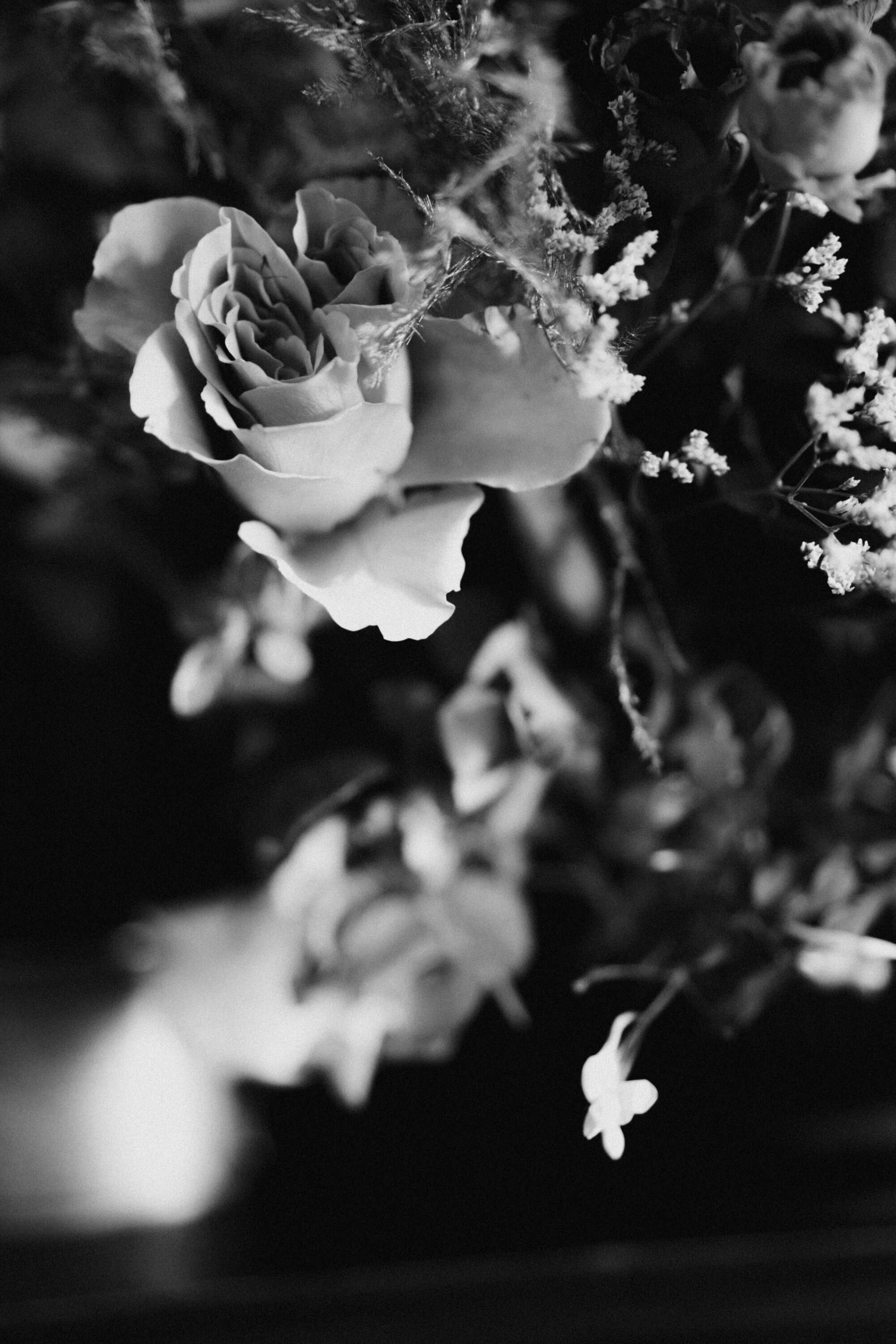 TRUE ROMANCE by Muse & Mirror