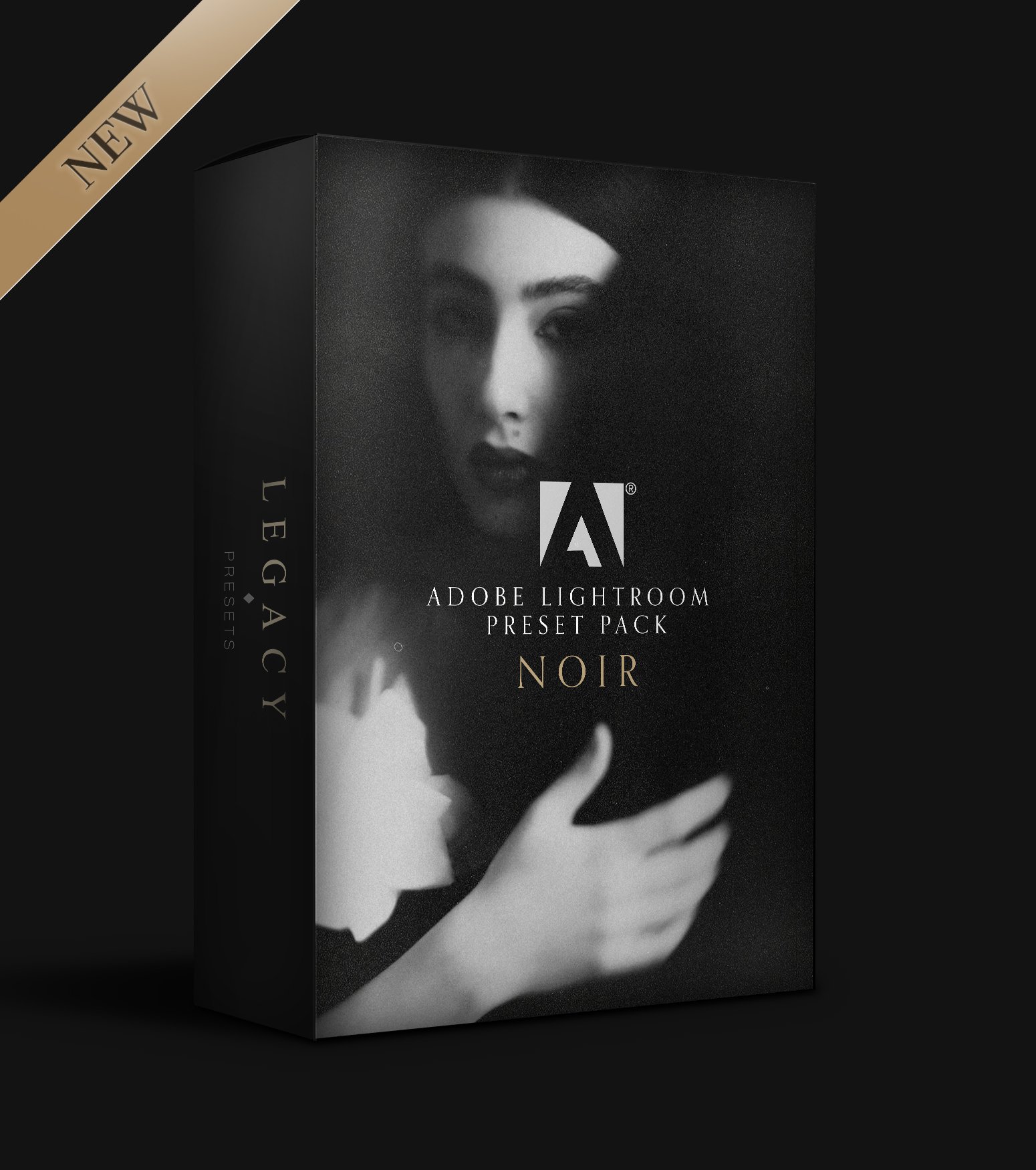 Mockup NOIR copy.jpg
