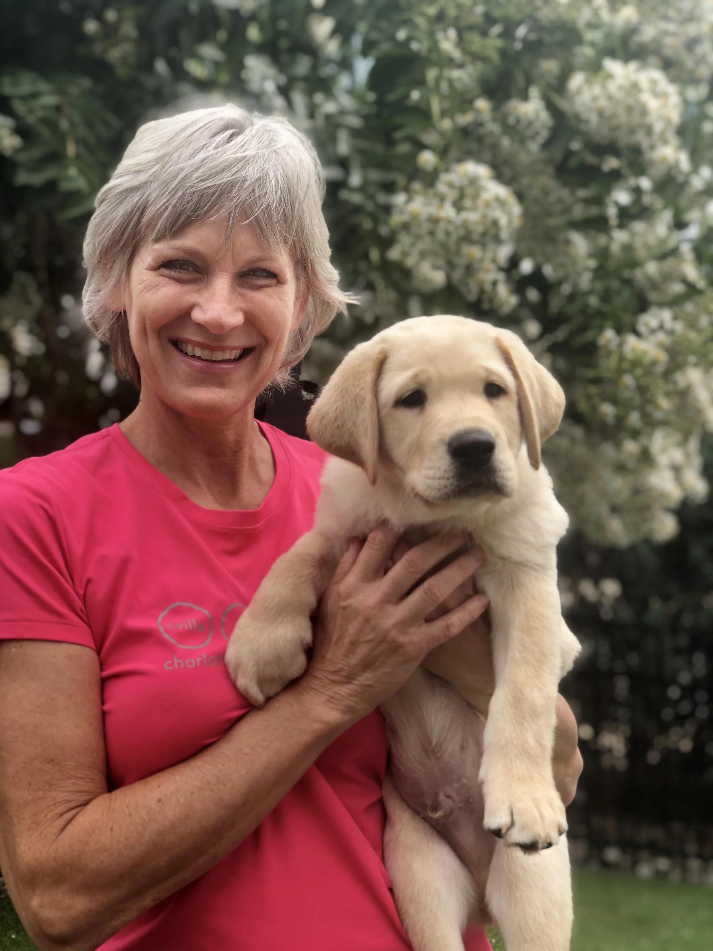 A smiling woman with short gray hair holding a yellow Labrador puppy outdoors with flowering bushes in the background.