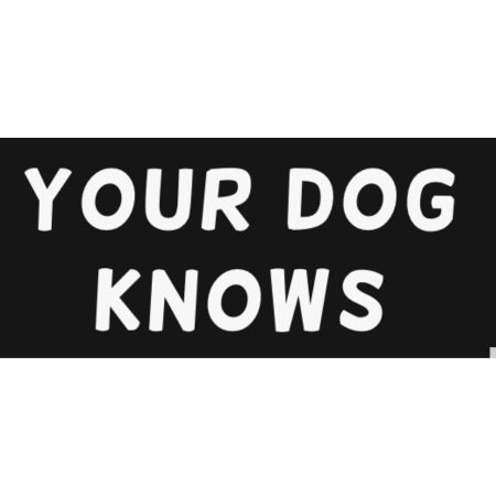 Your Dog Knows