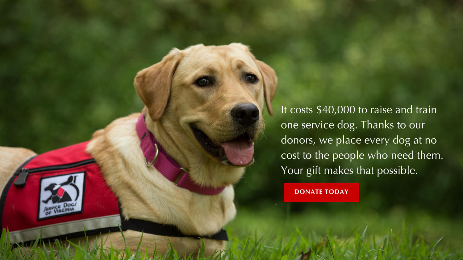 Donate - Service Dogs of Virginia