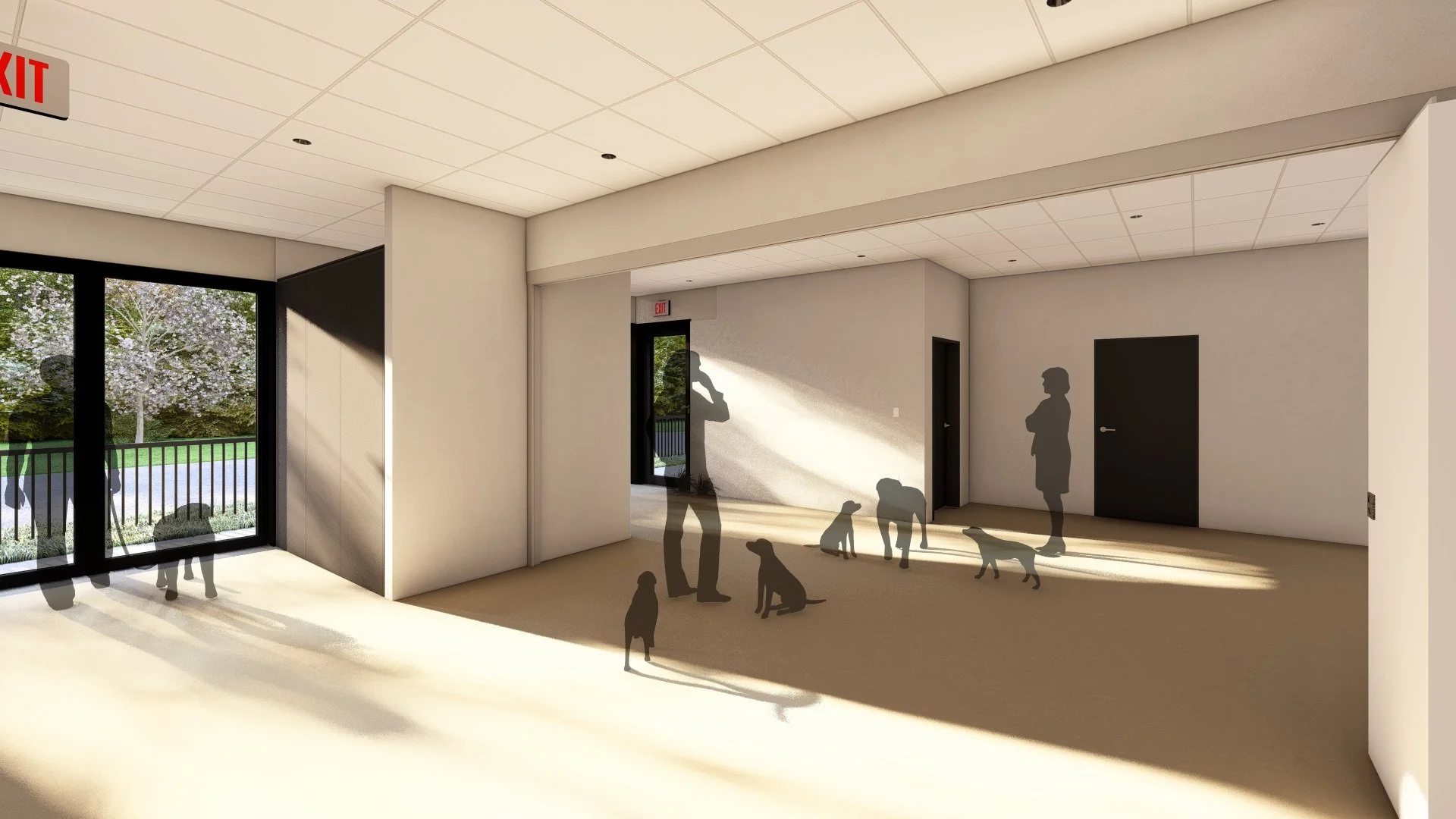 Puppy Enrichment Room