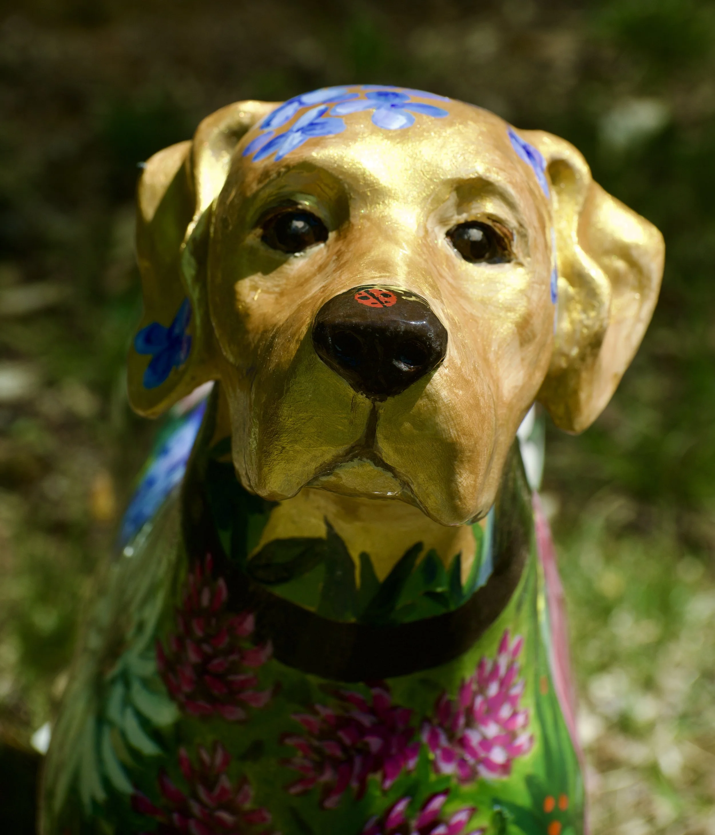 DSC_8182.jpeg