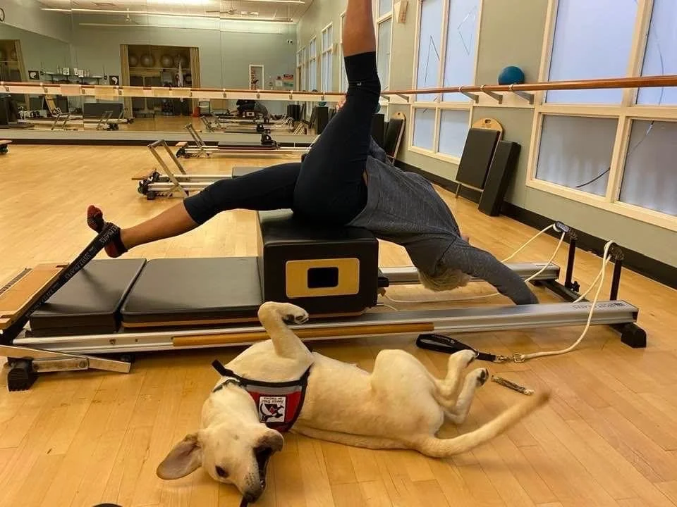 A person exercising on a Pilates reformer machine in a gym, with a dog lying on the floor underneath.