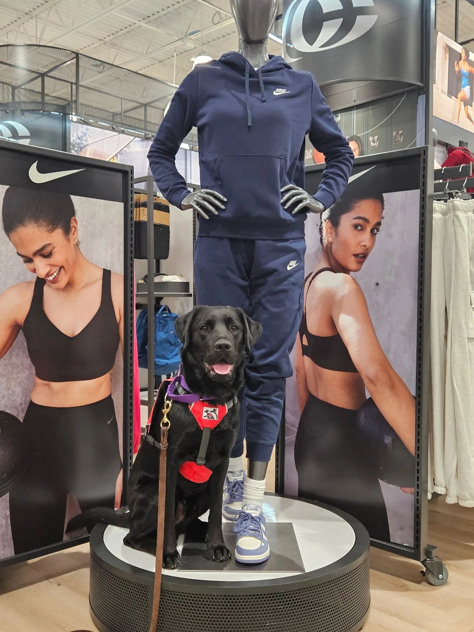 Display of athletic apparel featuring a navy blue Nike hoodie and matching pants on a mannequin, with posters of women in activewear behind and a Labrador retriever sitting at the base.