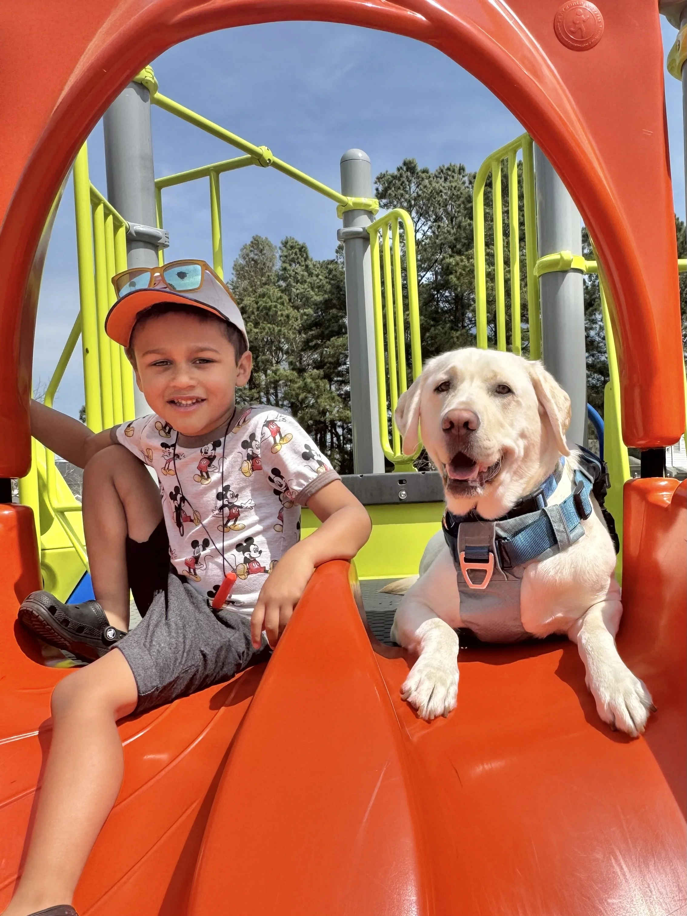 A young boy and a happy Labrador Retriever dog sitting together on an orange playground slide at a park on a sunny day.