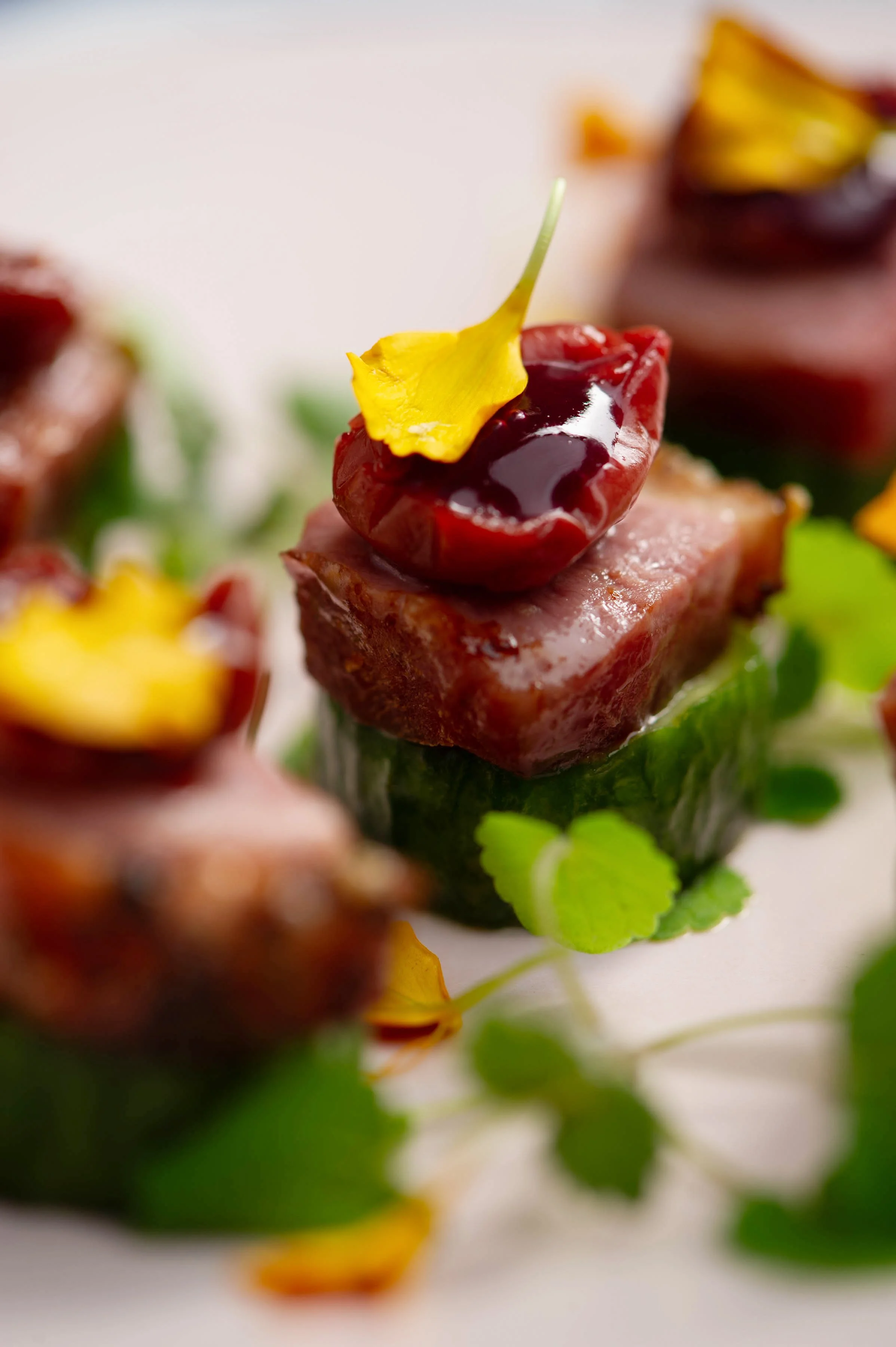 duck & cherry 2.jpg